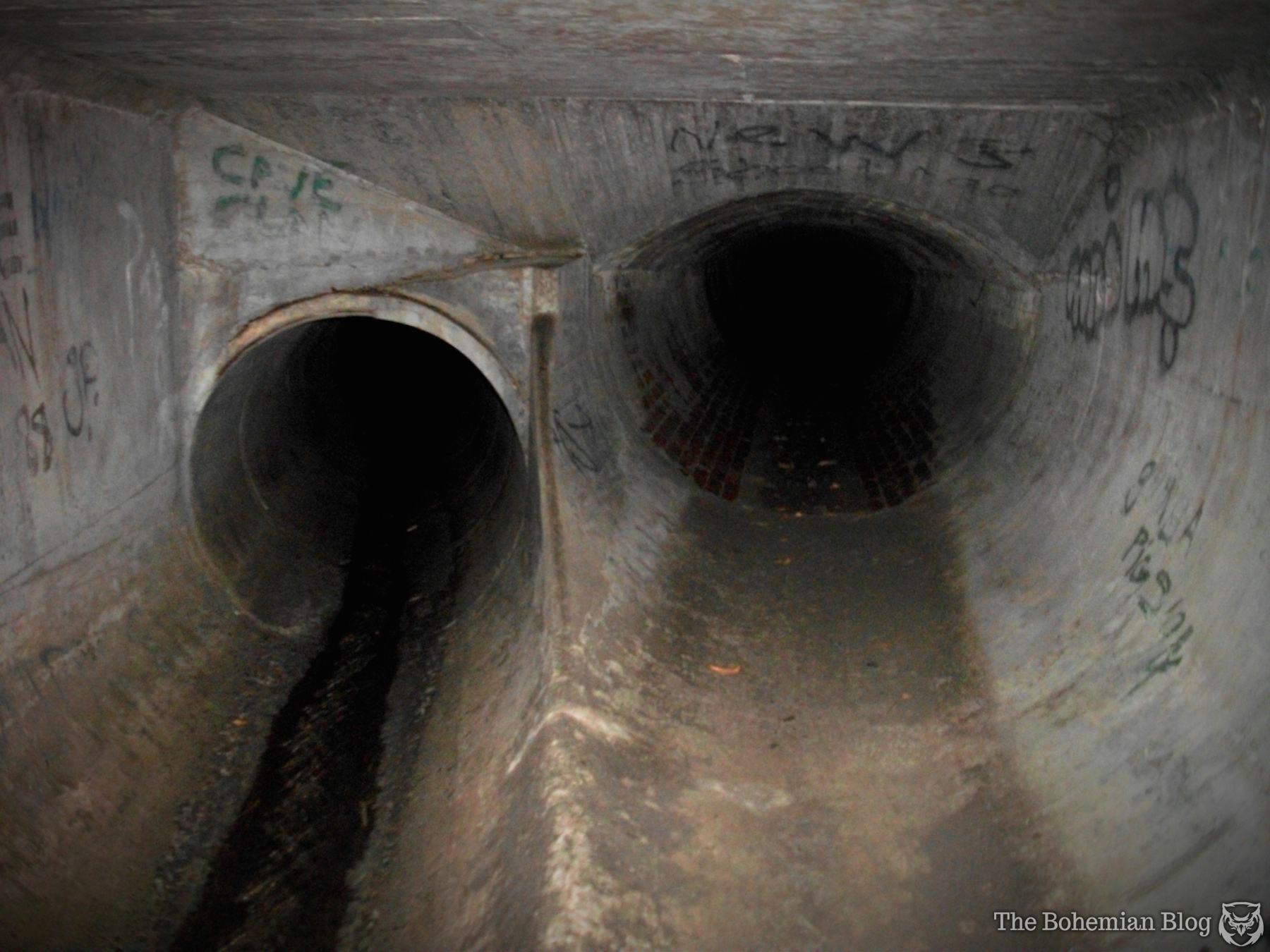 Flashlights and Spider Bites in Melbourne's Maze Drain - The ...