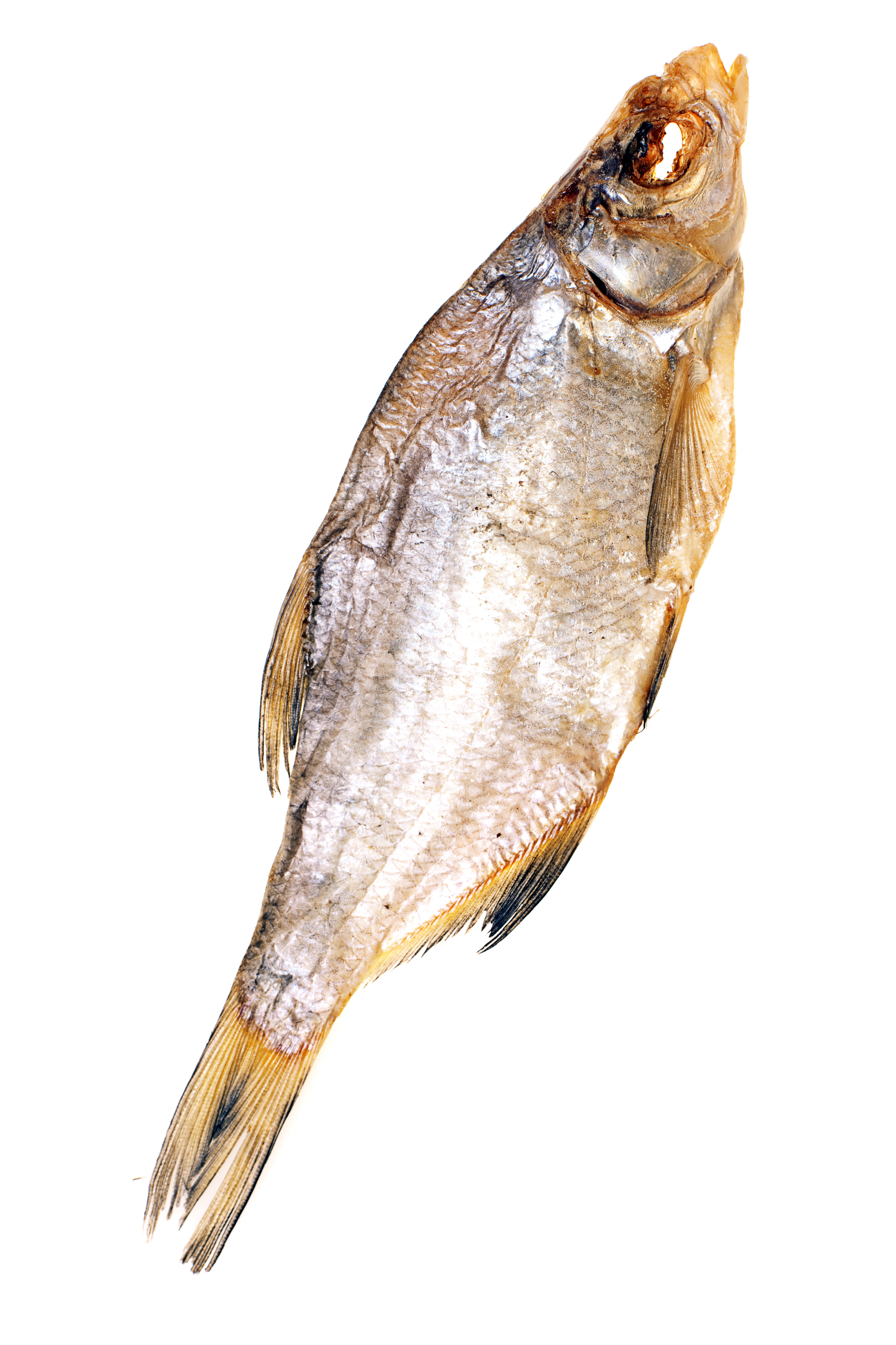 Dried fish photo