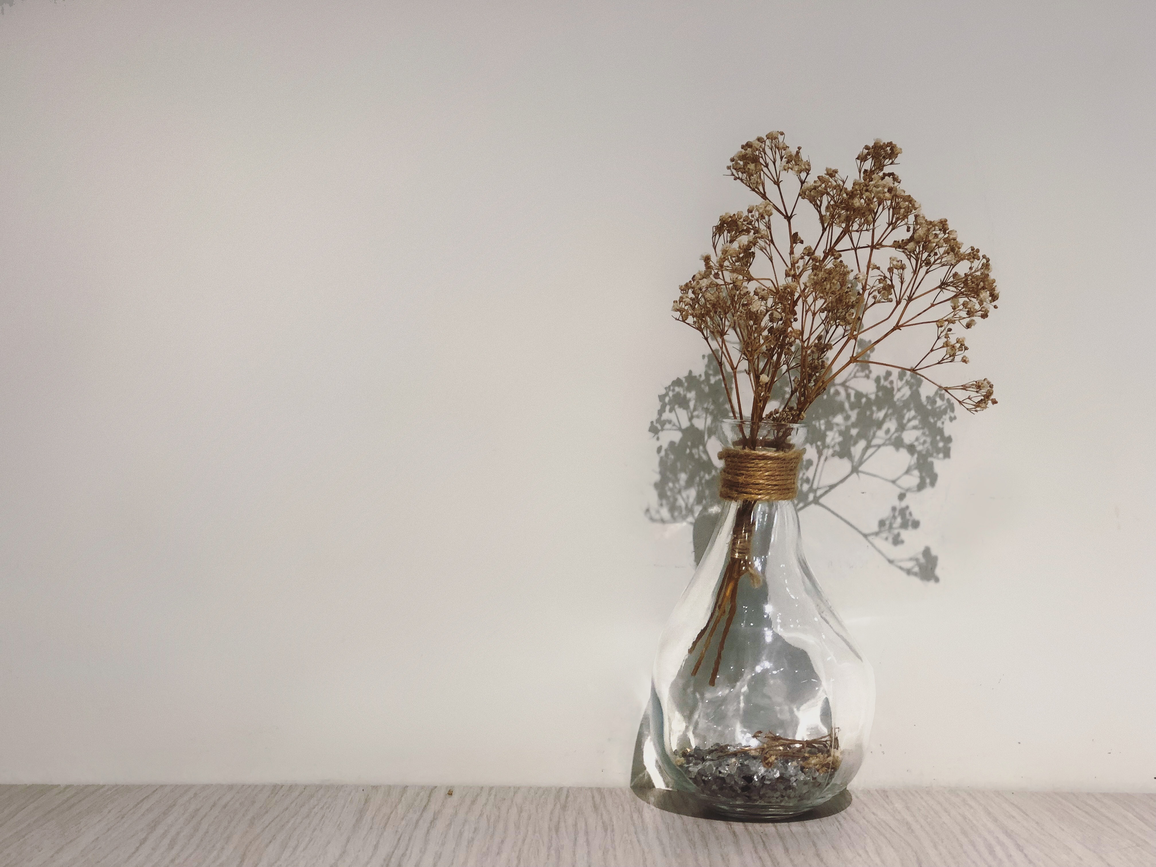 Dried leaves on glass vase beside concrete wall photo