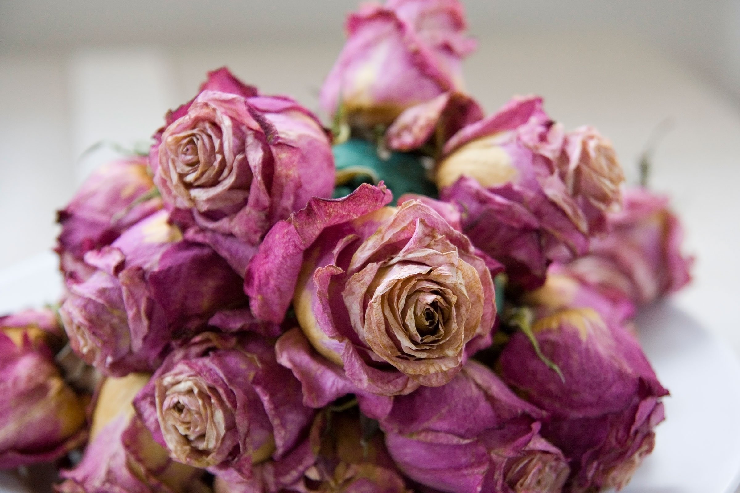 How to Dry Flowers: 5 Awesome Ways to Preserve a Bouquet | Reader's ...
