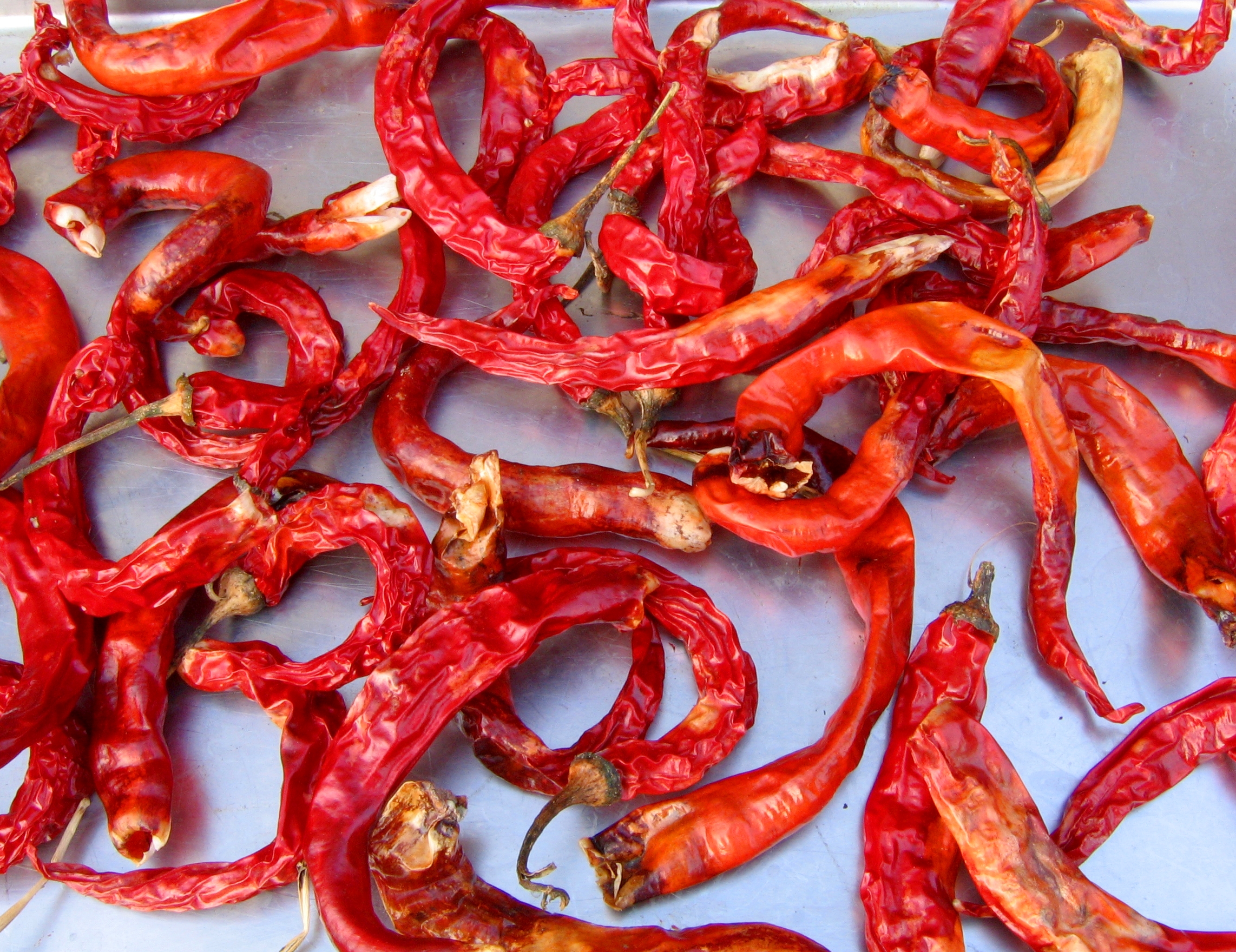 Dried red chilies photo