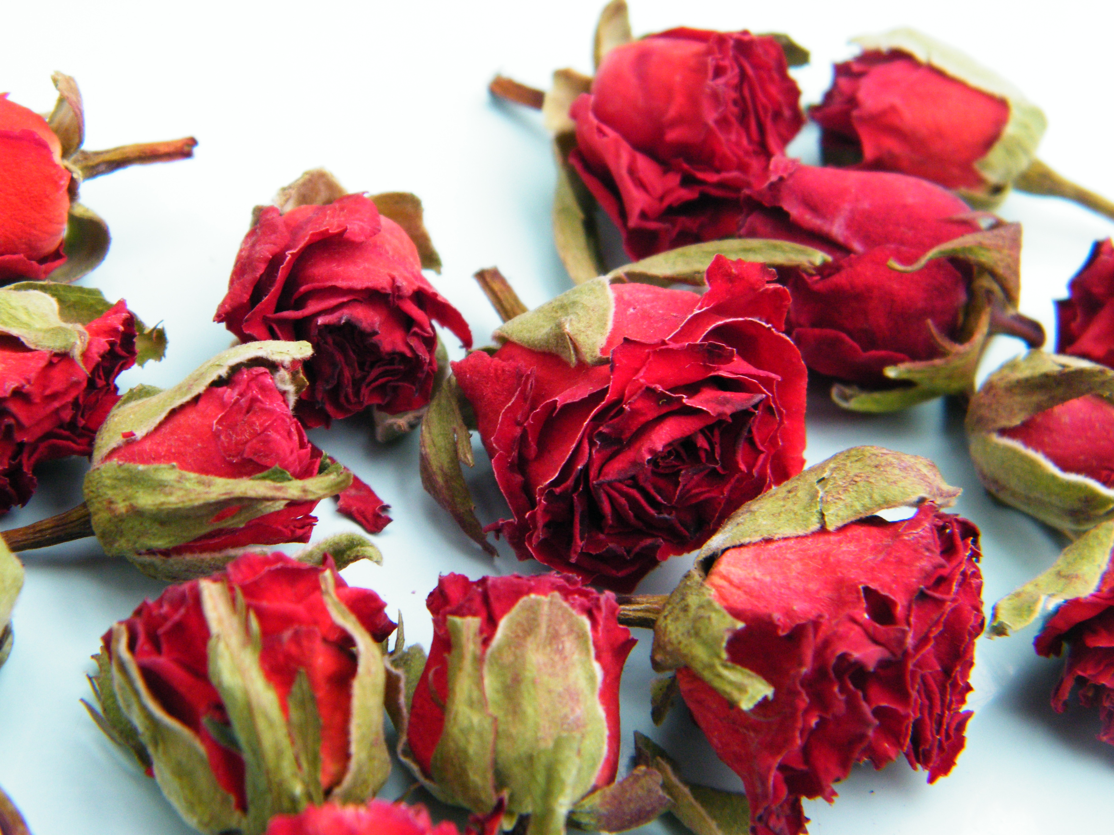 dried_rose_buds_bright_red.JPG