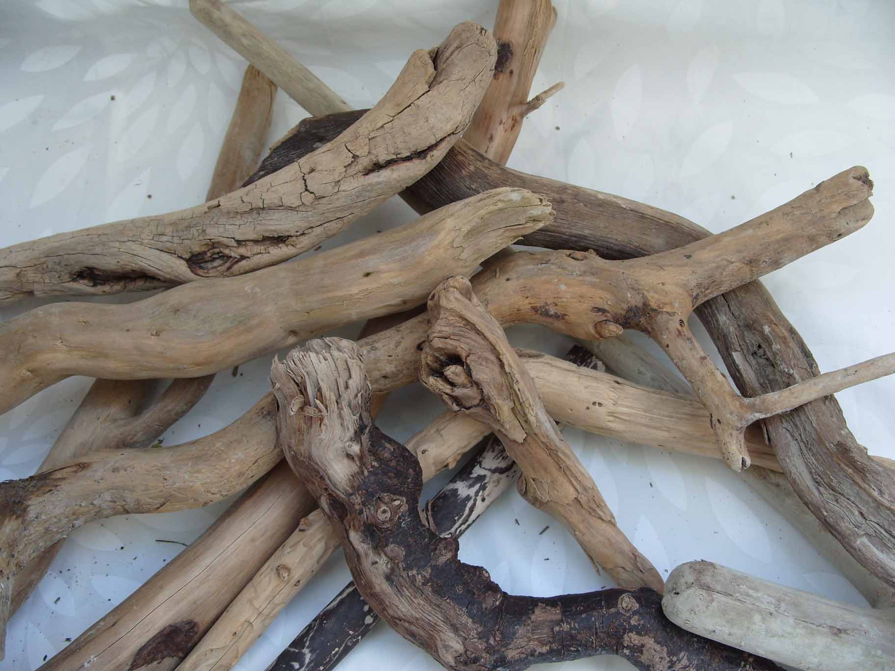 Index of /Inventory/Driftwood