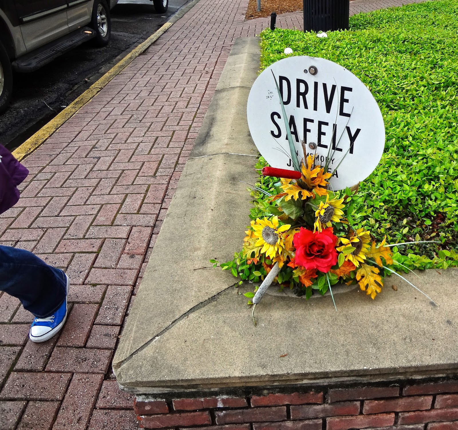 Tallahassee Daily Photo: Drive Safely