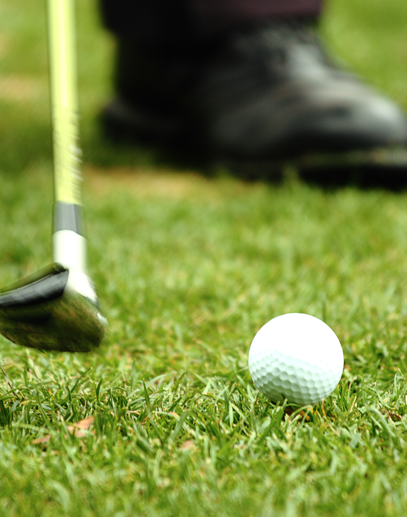 Free photo: Driving A Golf Ball From The Tee - Activity, Grass, Tee ...