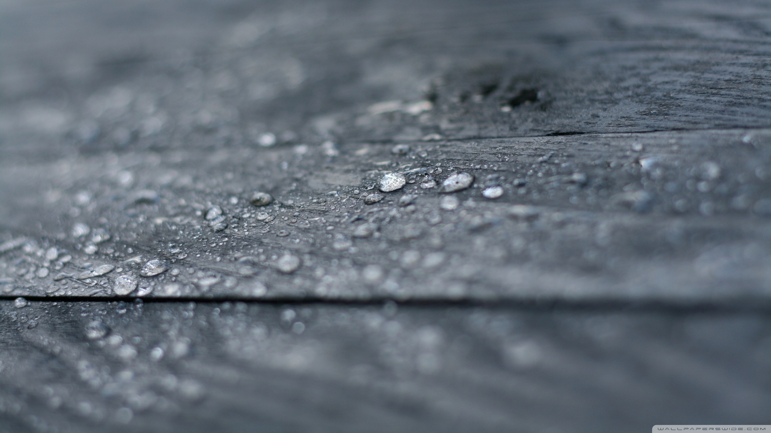 Droplets on wood photo