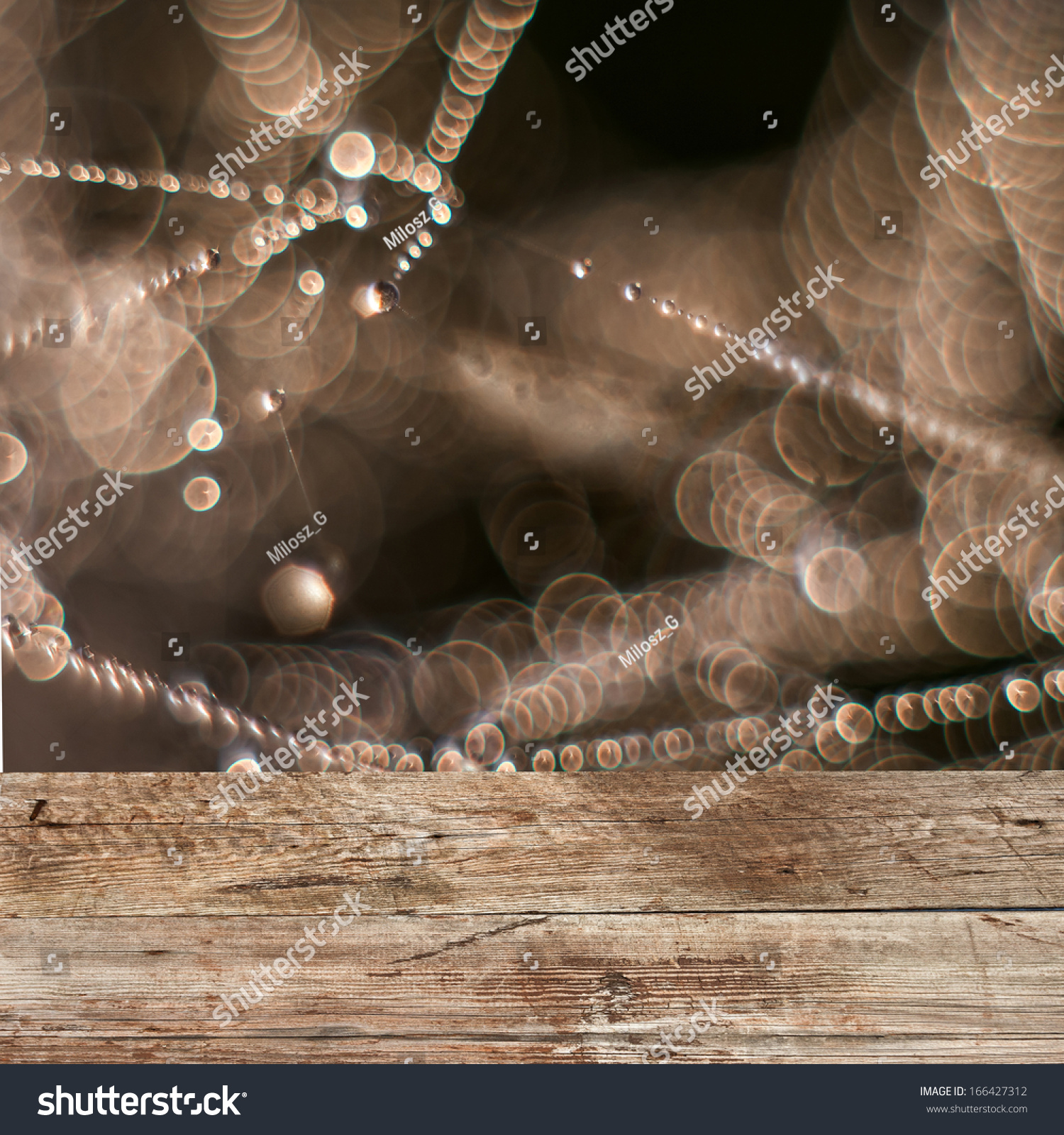 Spider Web Droplets Wood Floor Stock Photo 166427312 - Shutterstock