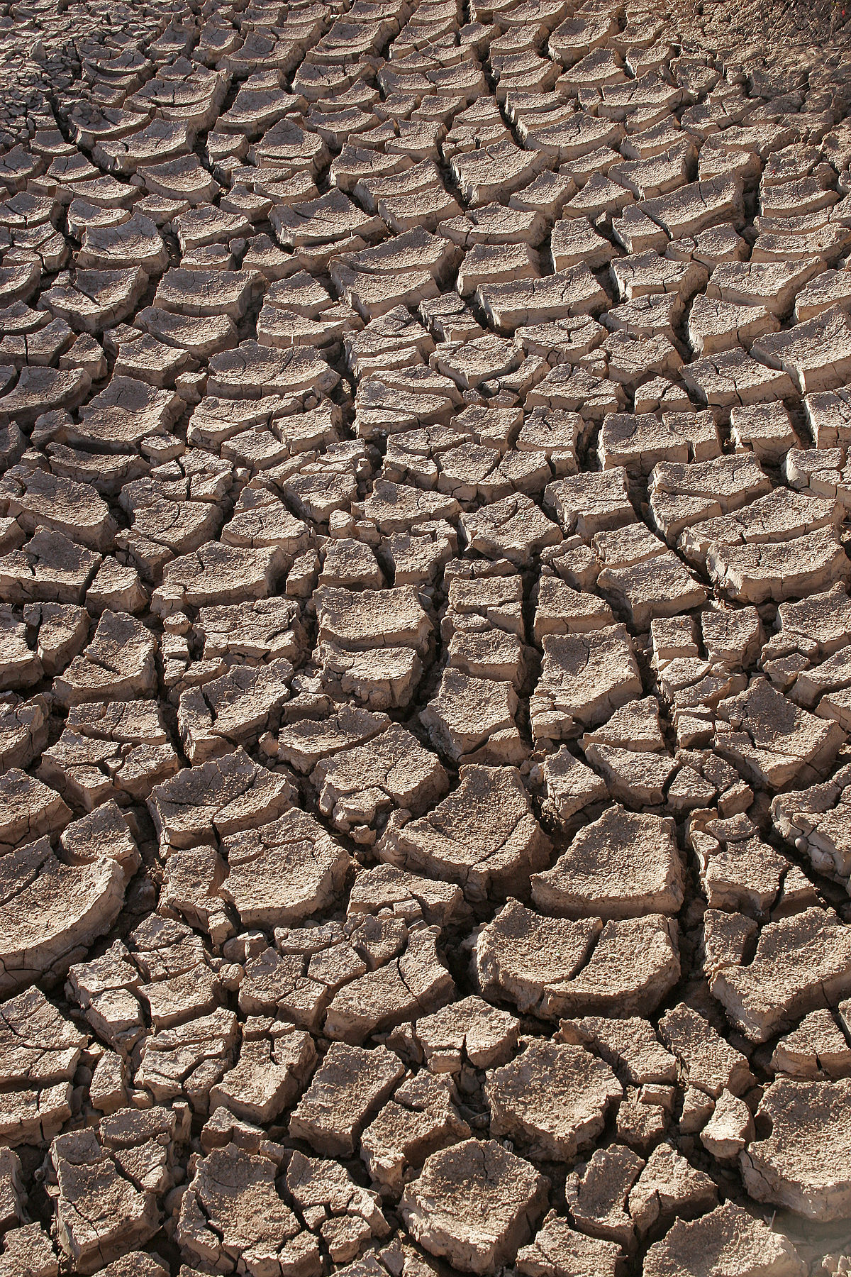 Drought - Wikipedia