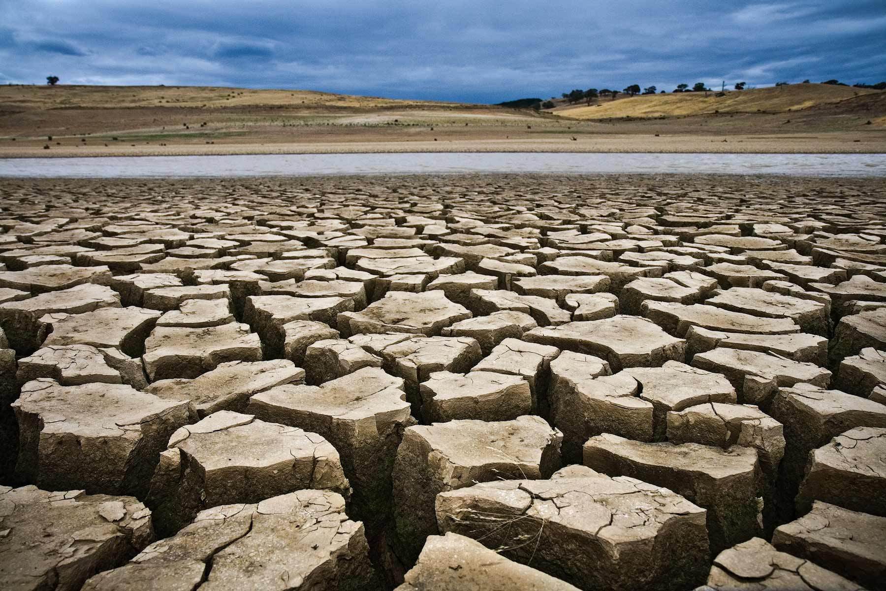 How To Prepare For A Drought - Ready Network - Join Ready Network