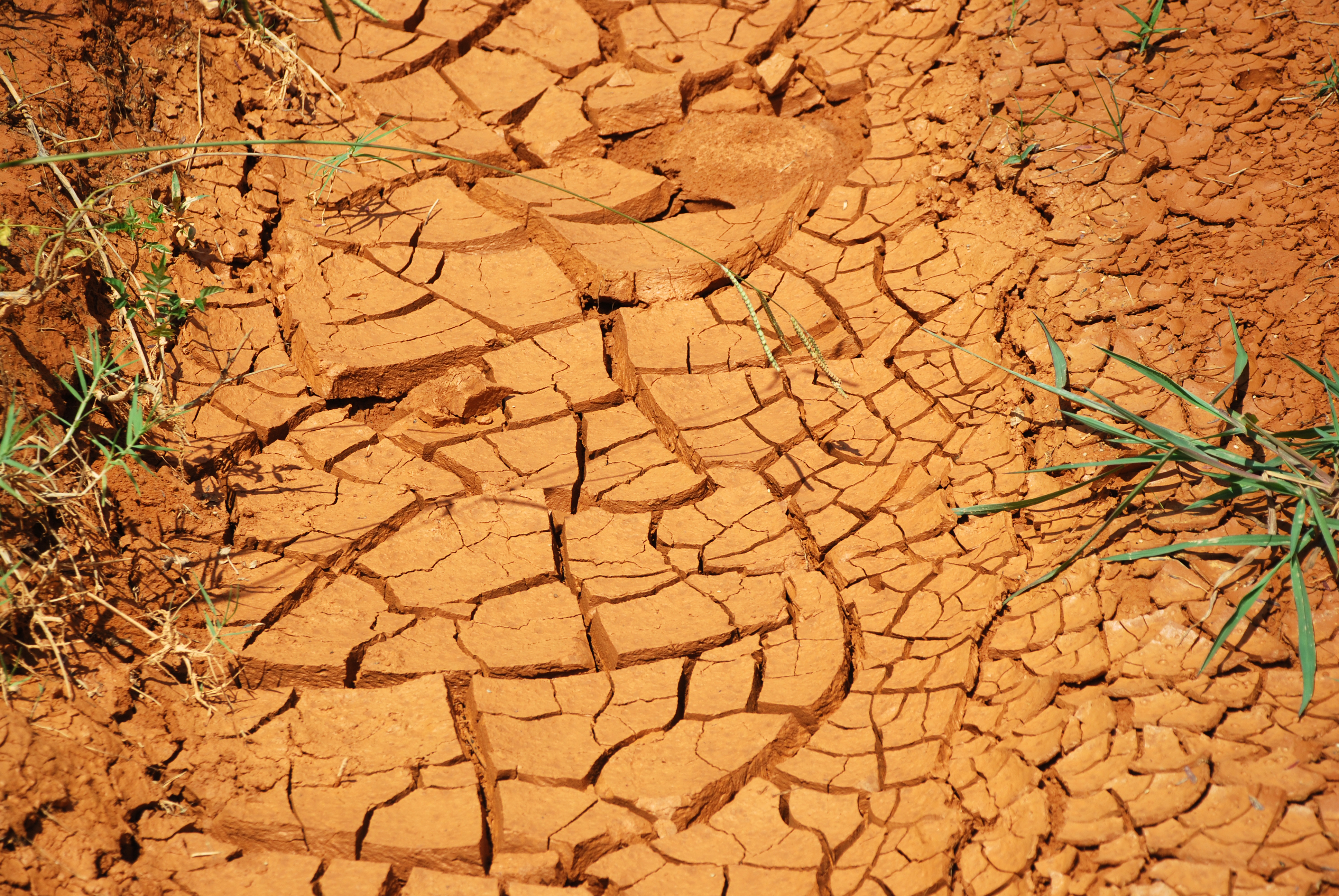 File:Dry Ground.jpg - Wikimedia Commons