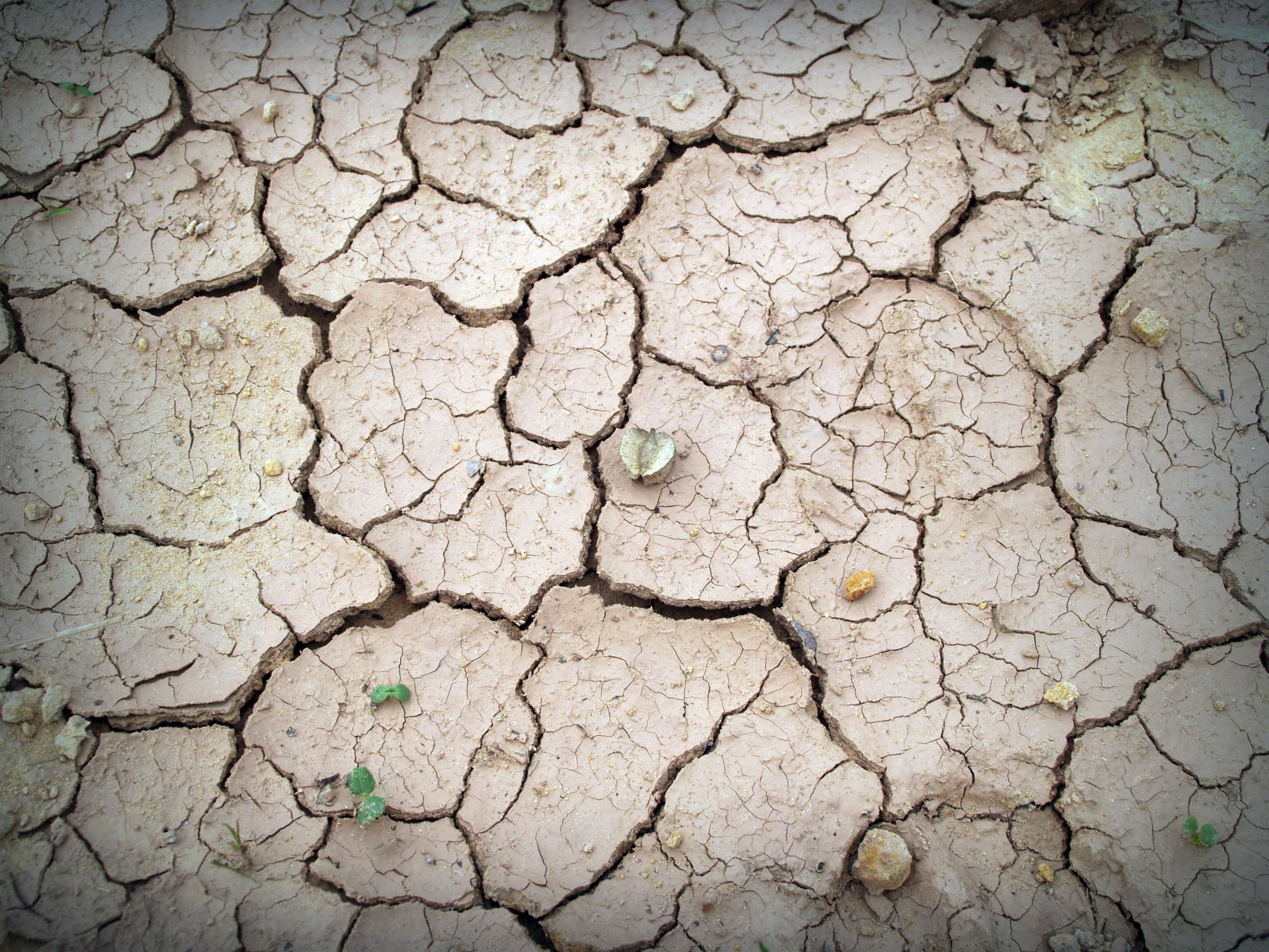 background #brake #broken #clay #crack #dirt #dry #dryness #earth ...