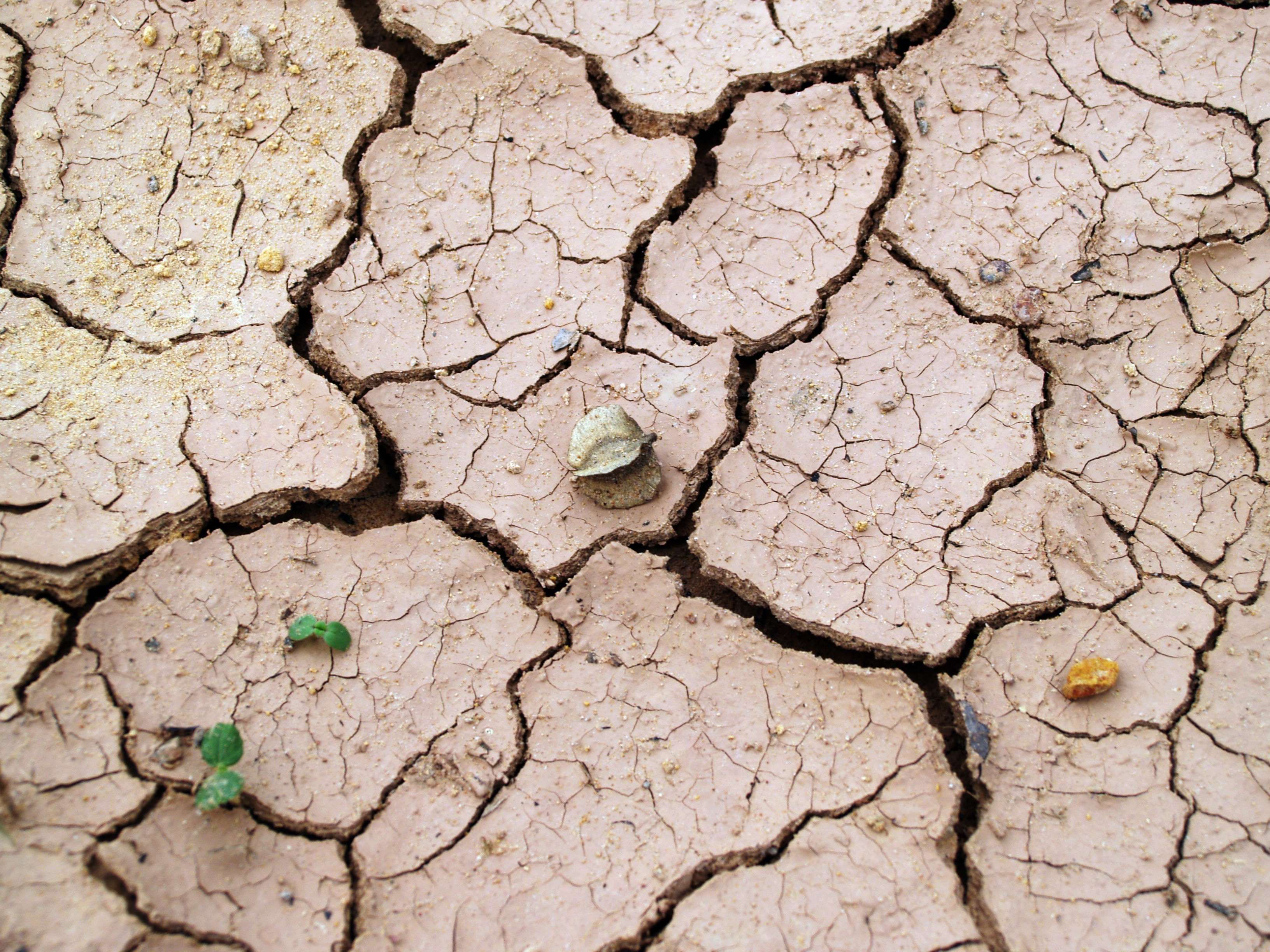 arid #barren #clay #cracks #desert #dirt #drought #dry #dryness ...
