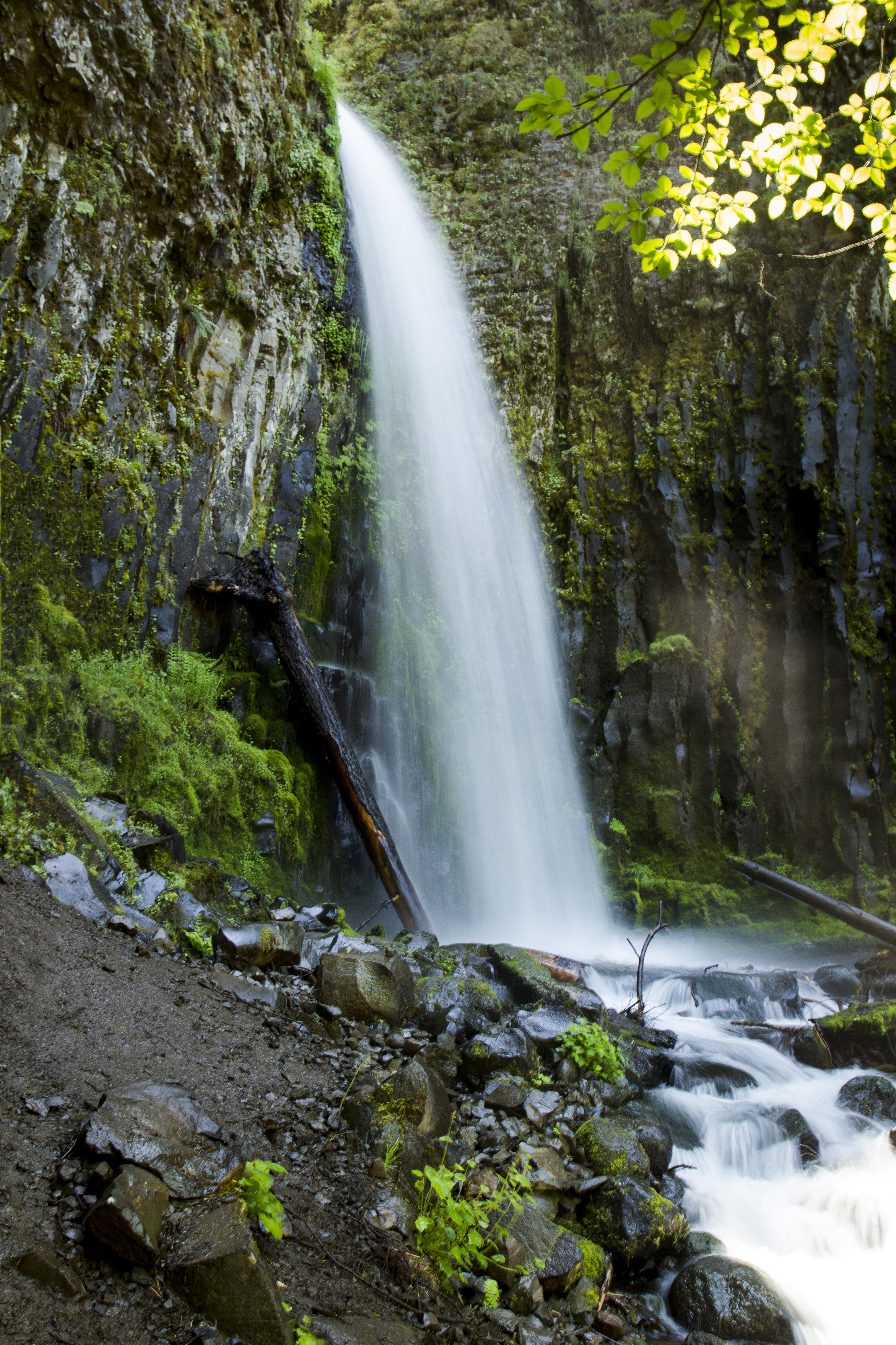 Dry creek falls, oregon photo