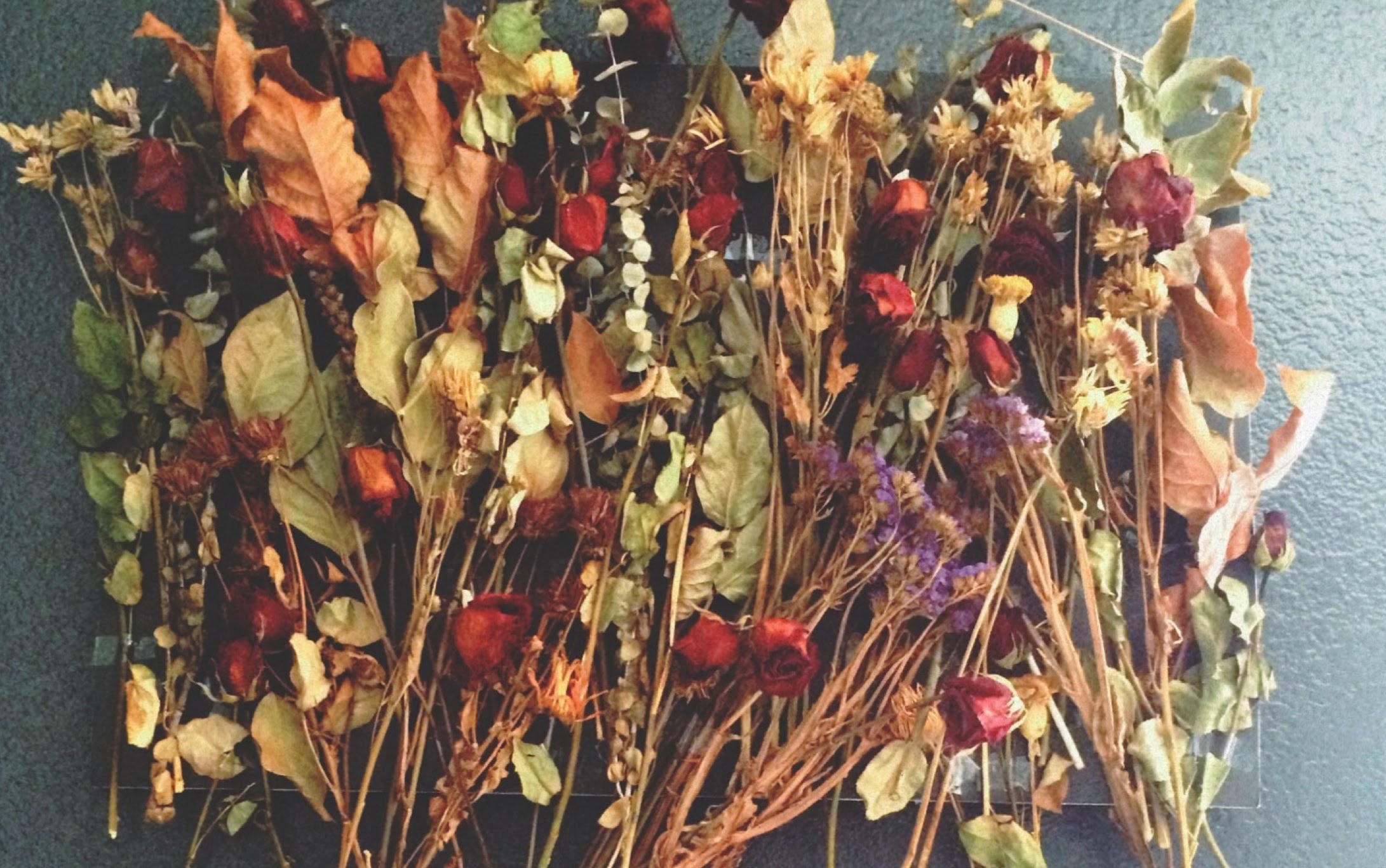 DIY: Dried Flower Collage - YouTube