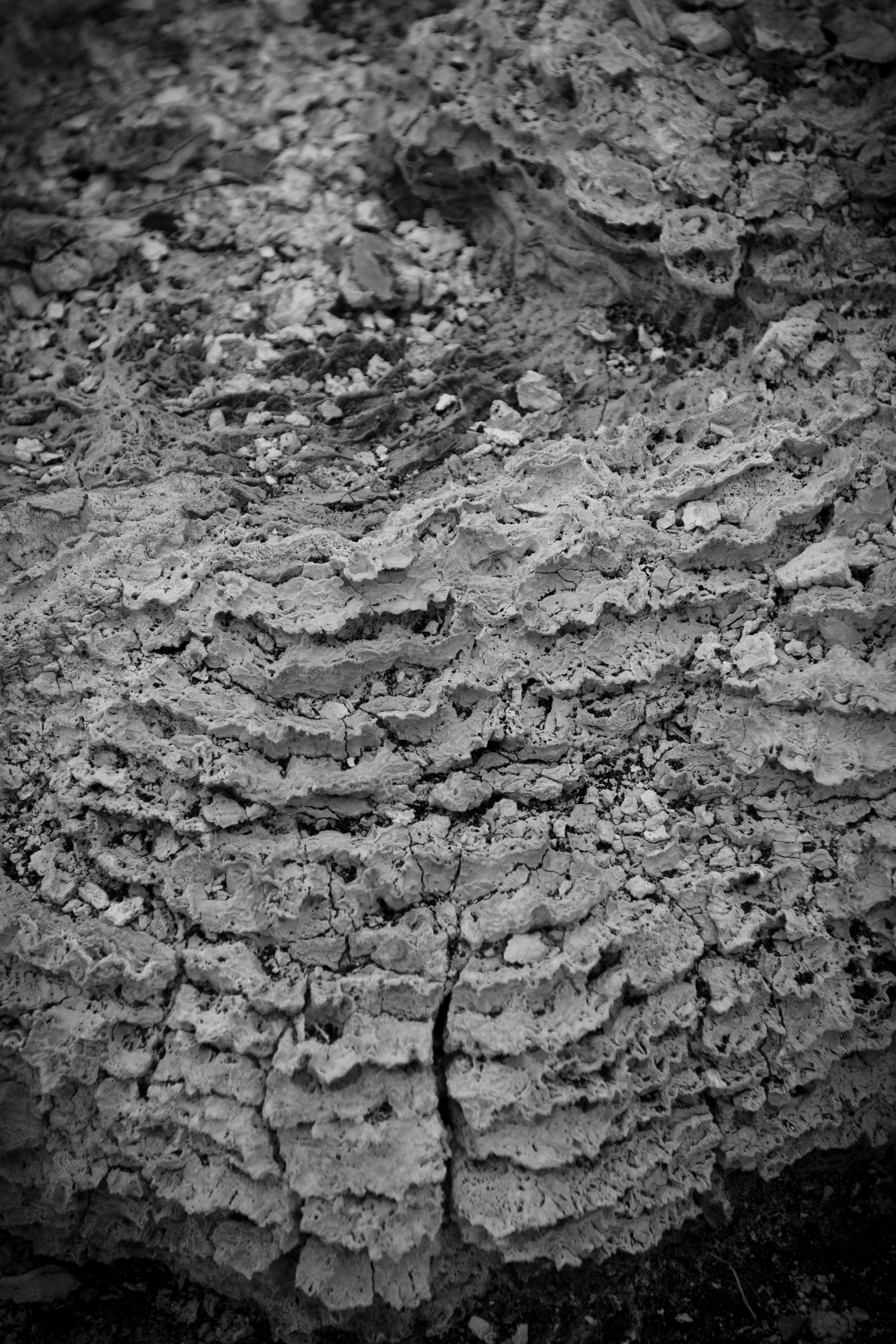 Dry geothermal mud texture photo