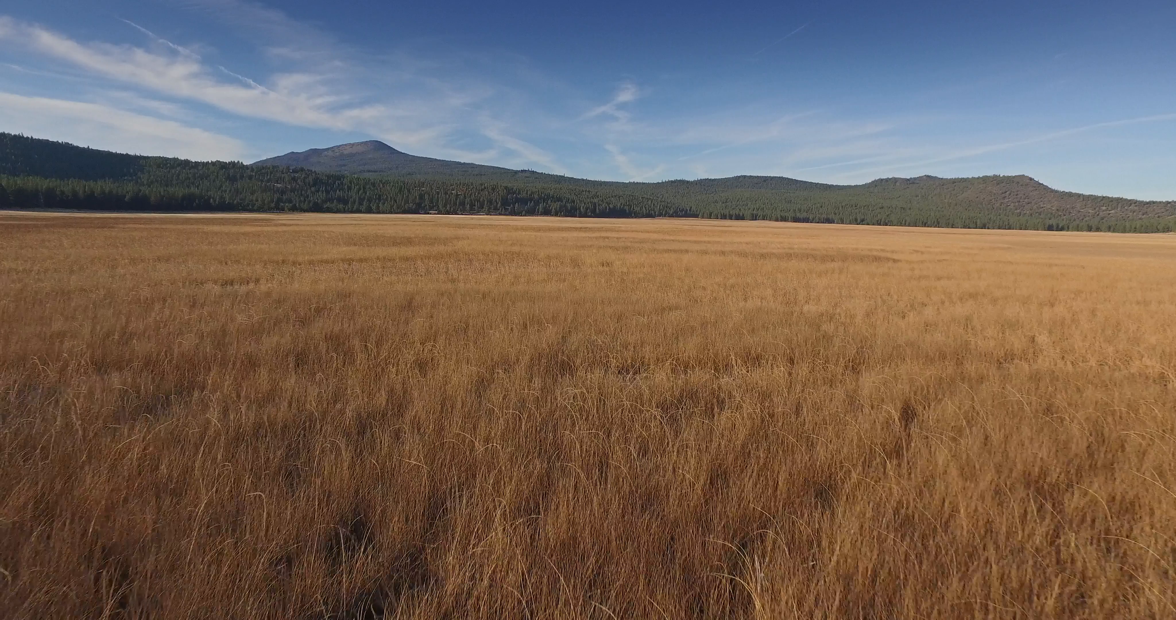 Aerial drone view flying over dry grass field in Northern California ...