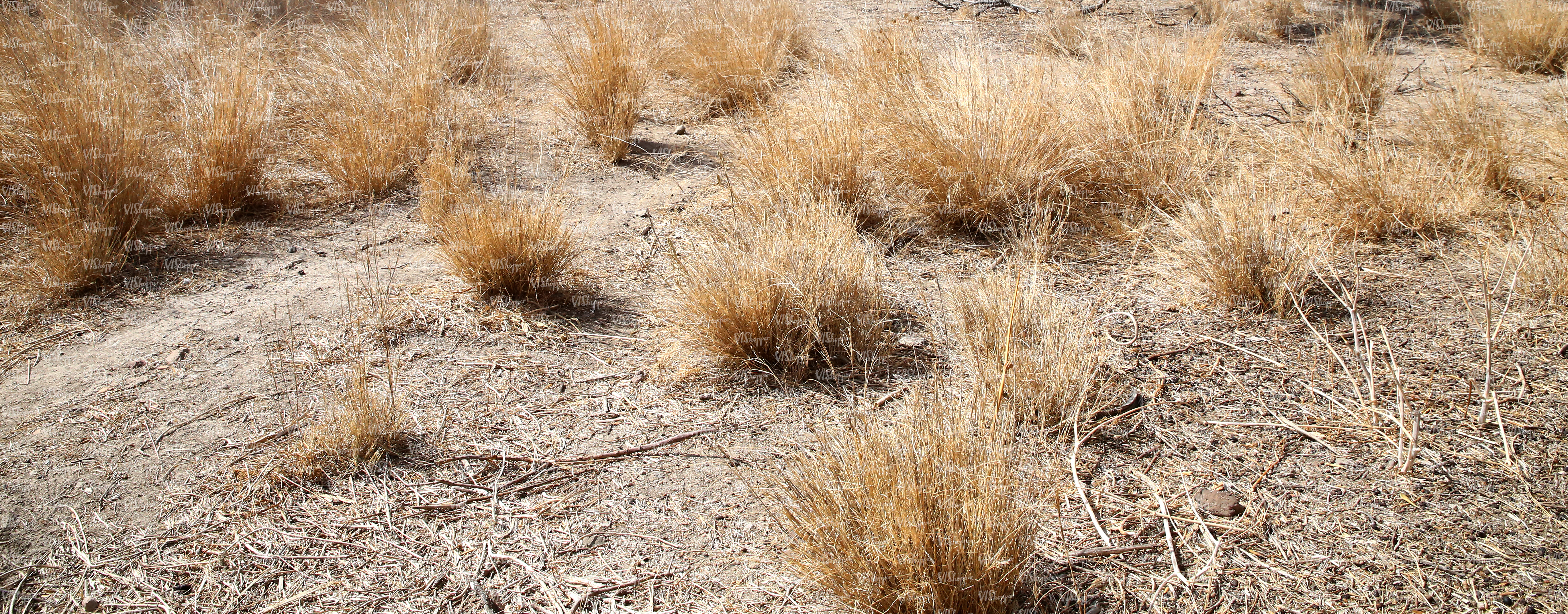 ground with dry grass shrubs - ground textures - VIShopper