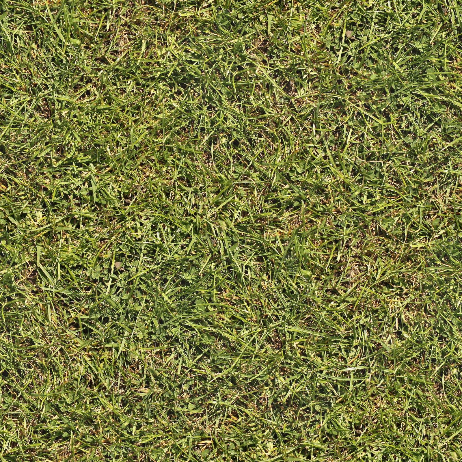 Grass+02+seamless.jpg (1600×1600) | Textur | Pinterest ...