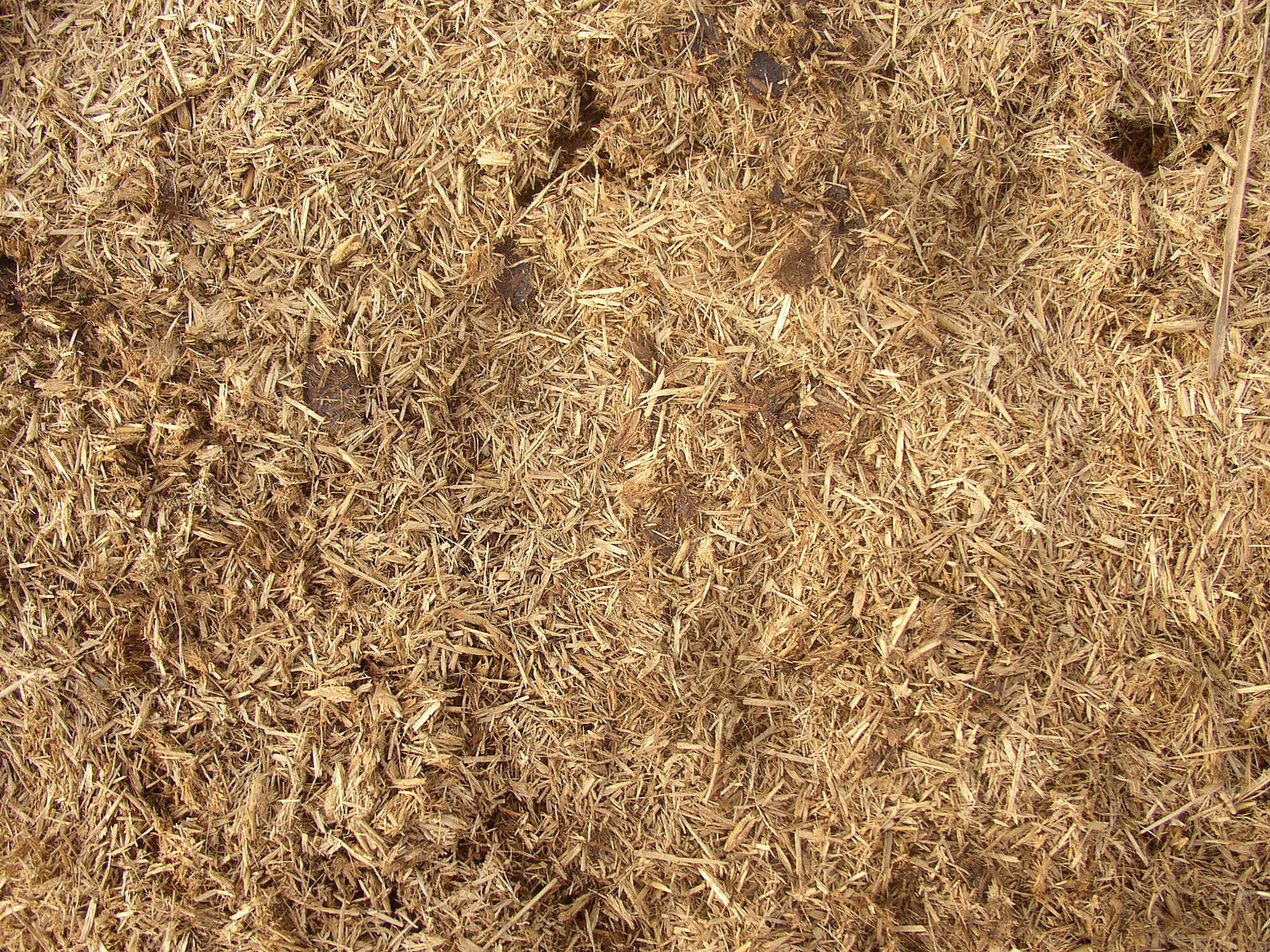 Free Ground texture - dry grass ground | Textures | Pinterest | Grasses