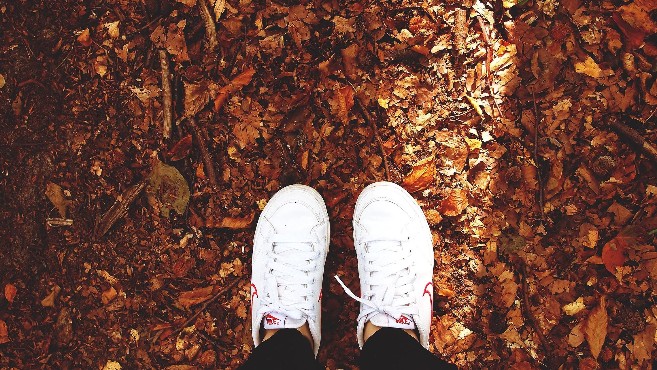 Free picture: sneakers, foot, footwear, autumn, ground, dry, leaves