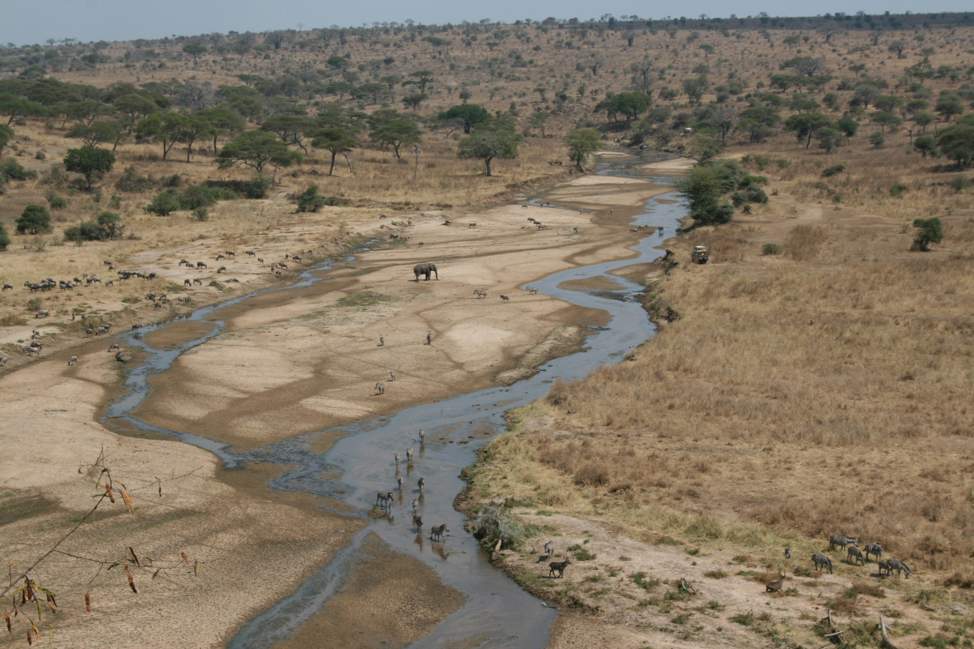 File:Tarangire River Tanzania in July (Dry season).JPG - Wikimedia ...