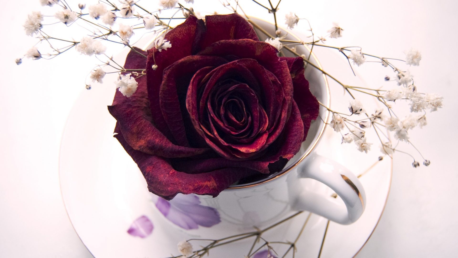 Flower: Dry Rose Cup Red Heart Flower Hd New Image HD 16:9 High ...