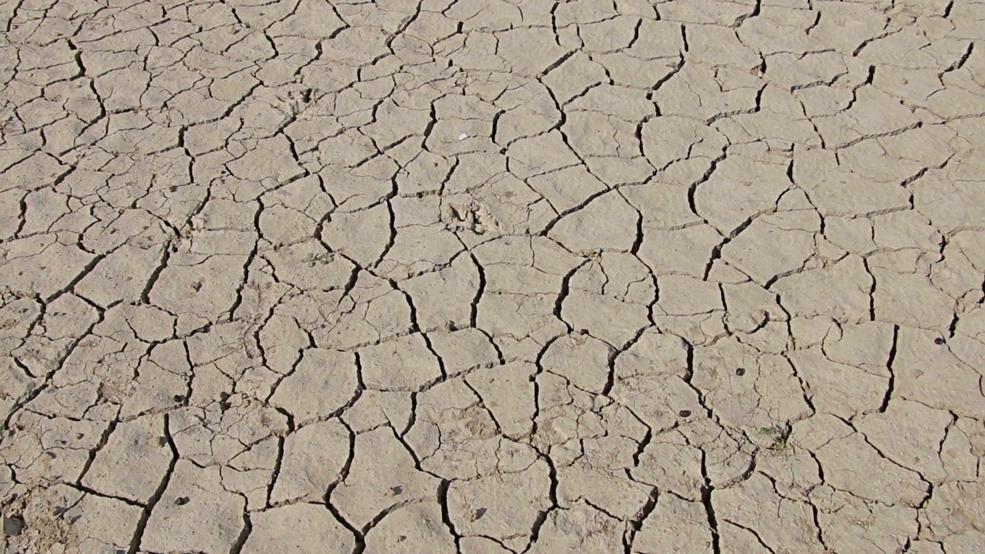 Walking on desert dry soil, first point of view. Climate change ...