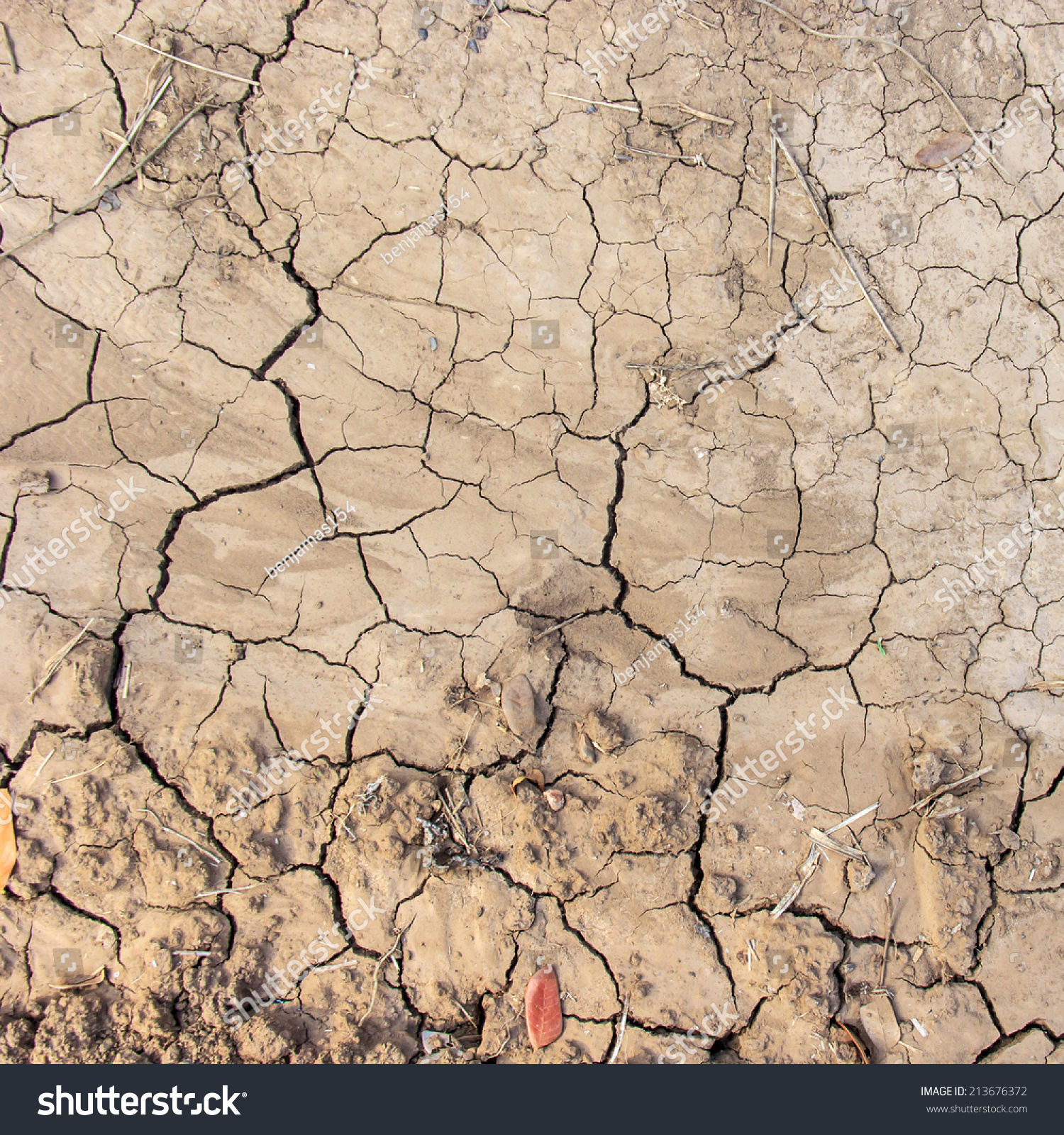 Dry Soil Crack Background Stock Photo (Safe to Use) 213676372 ...