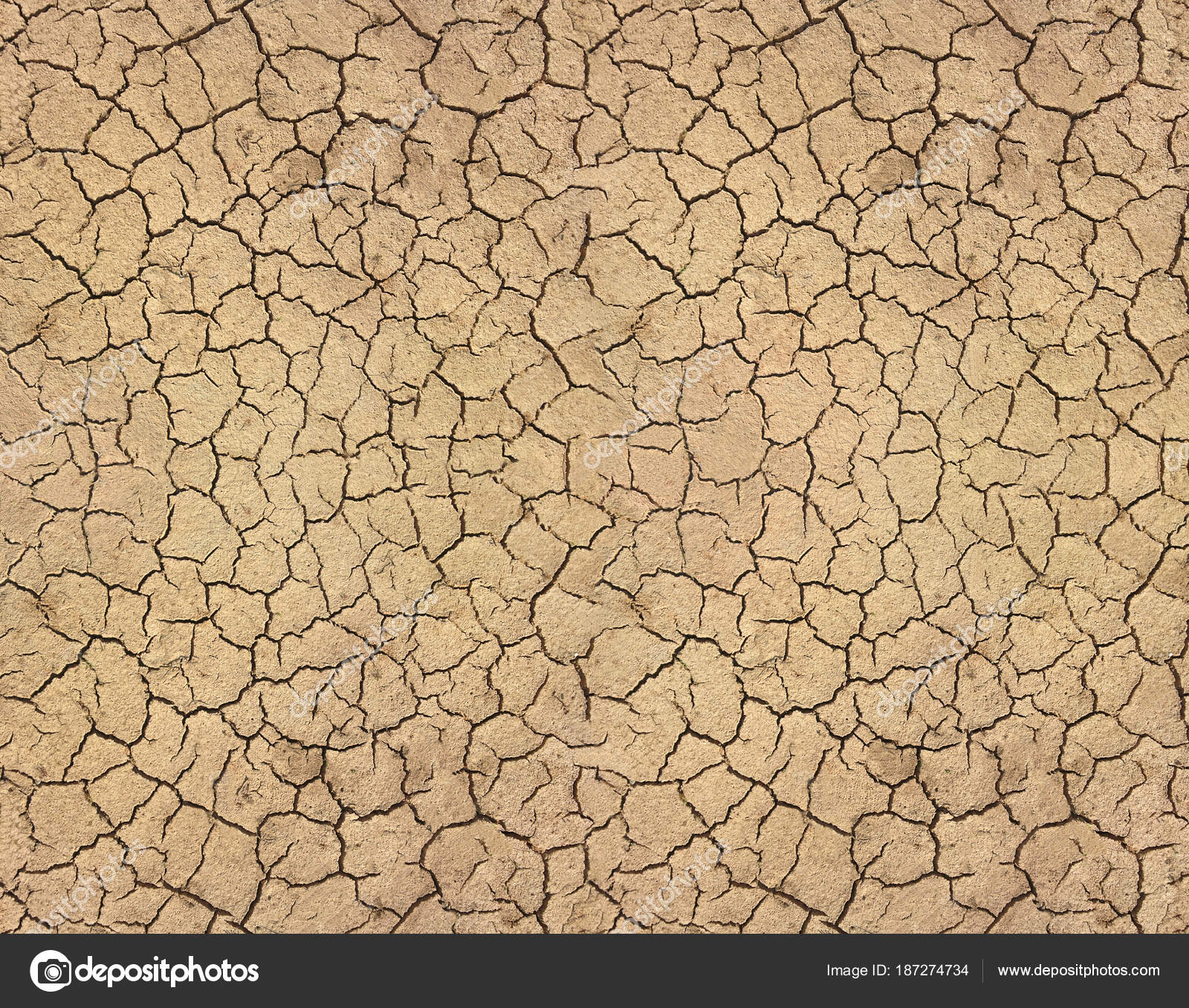 Dry soil cracked texture — Stock Photo © ksimonova.gmail.com #187274734