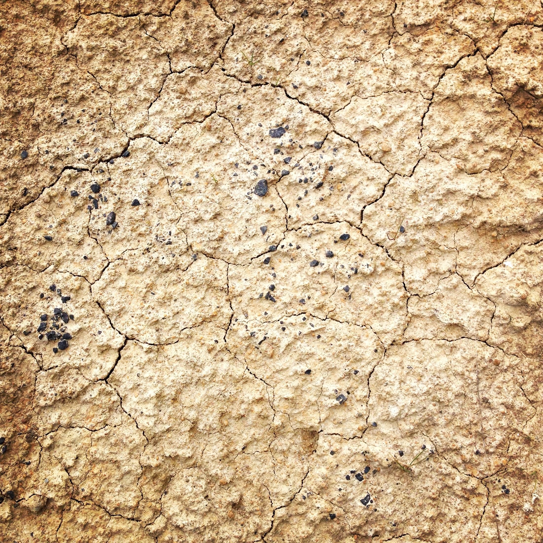 Free picture: texture, dirt, wall, pattern, dry, brown, old