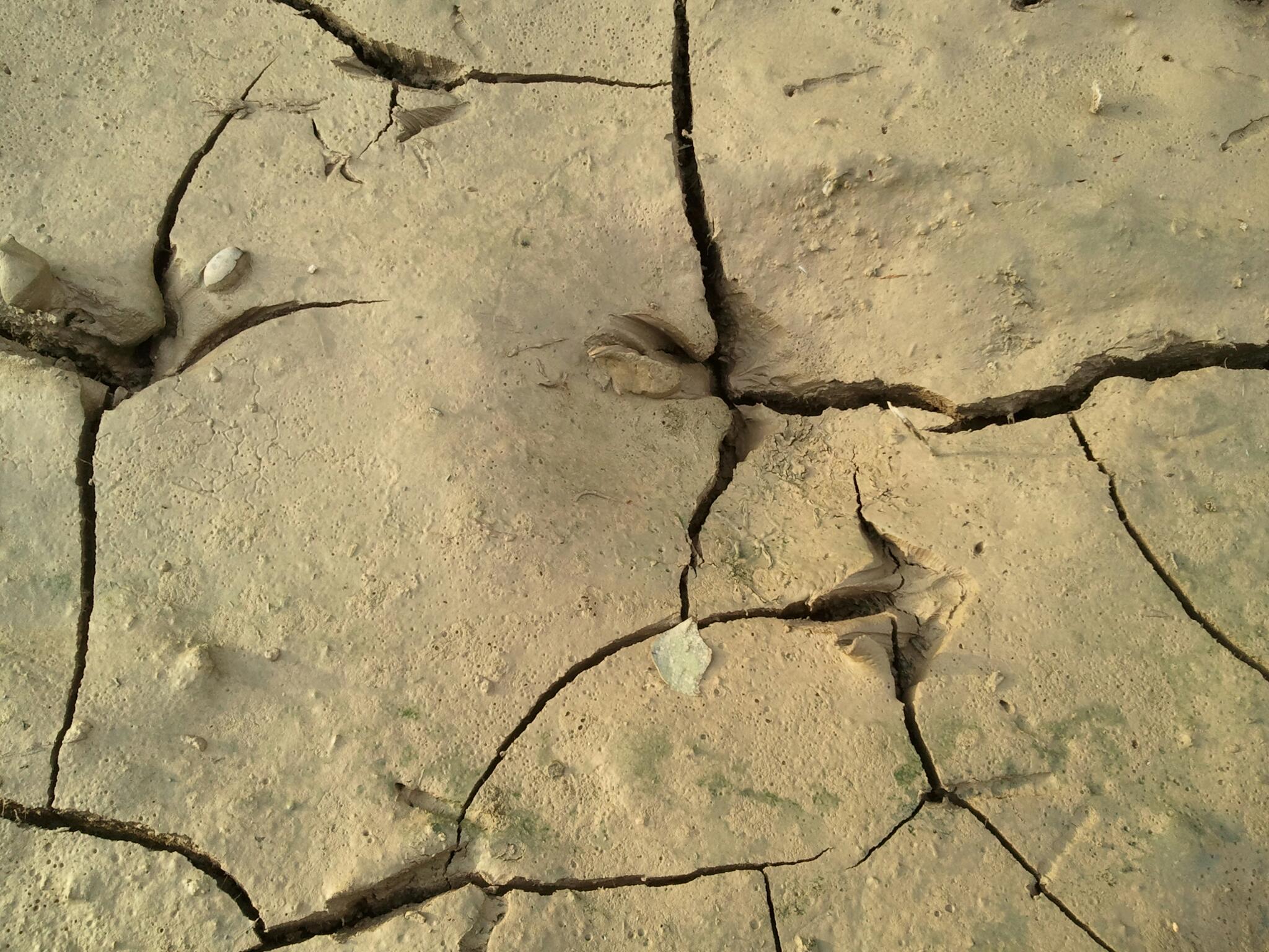 Free photo: Dry soil - Brown, Dry, Dryness - Free Download - Jooinn