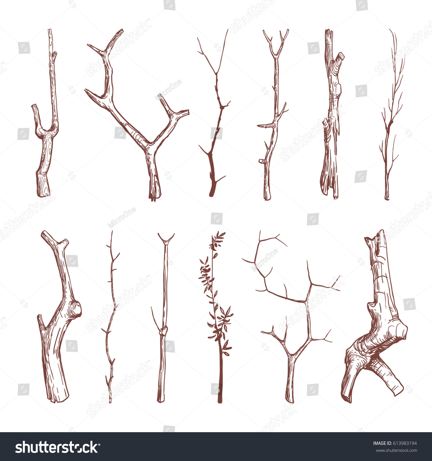 Hand Drawn Wood Twigs Wooden Sticks Stock Vector 613983194 ...