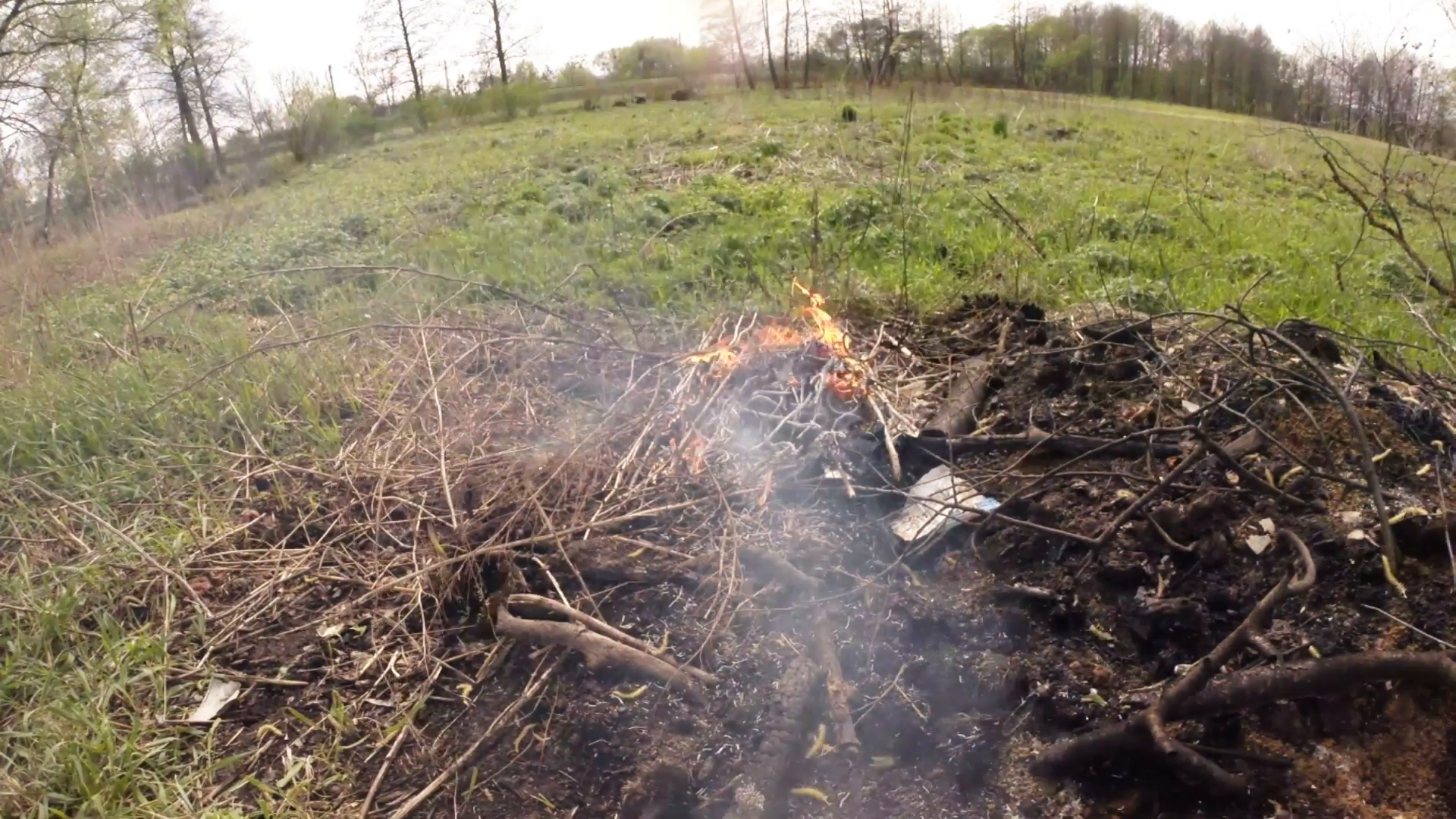 Burning Dry Sticks in Fire Fume in a Meadow Near the Forest Stock ...