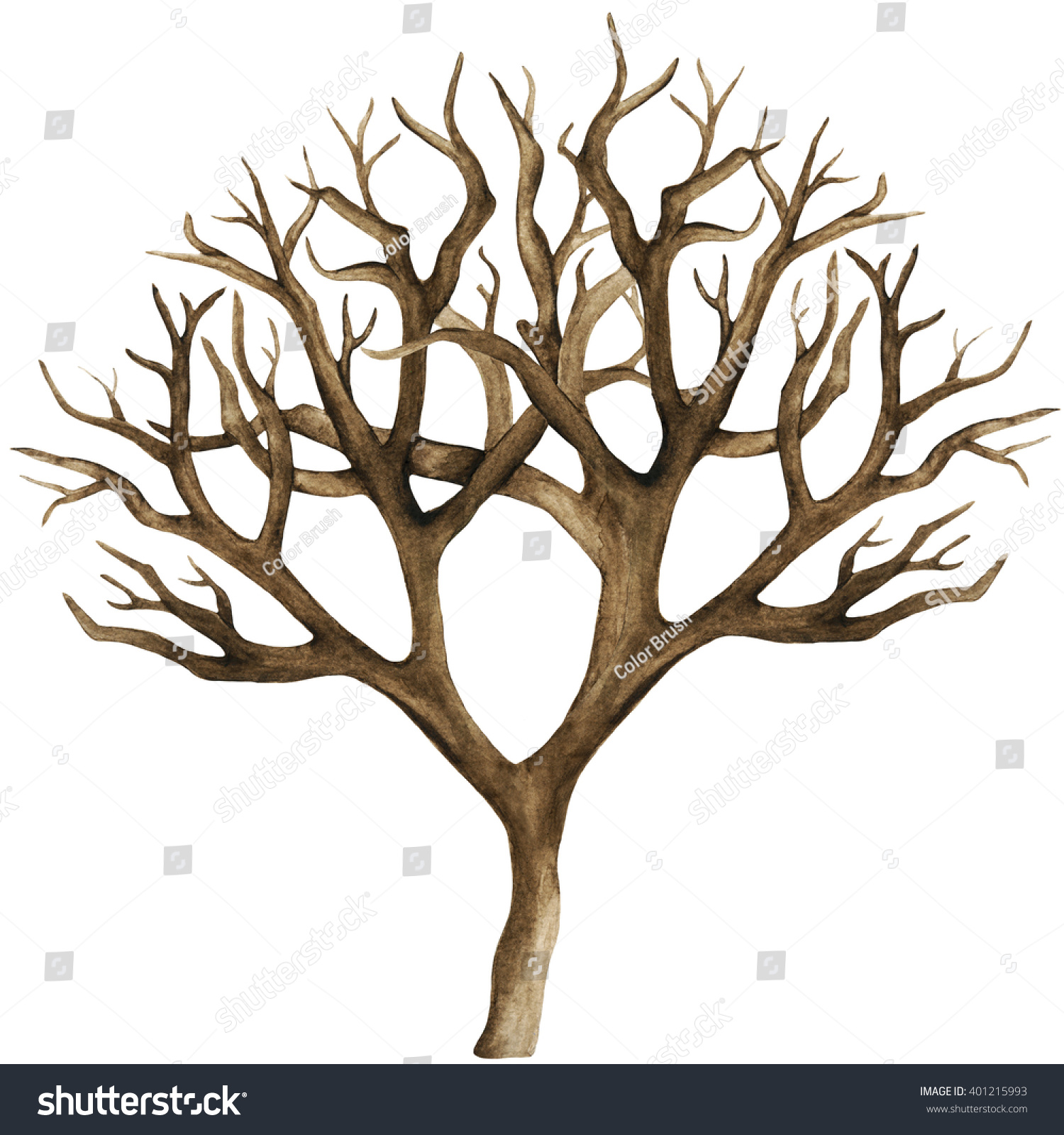 Watercolor Dry Tree Bare Tree Branch Stock Illustration 401215993 ...