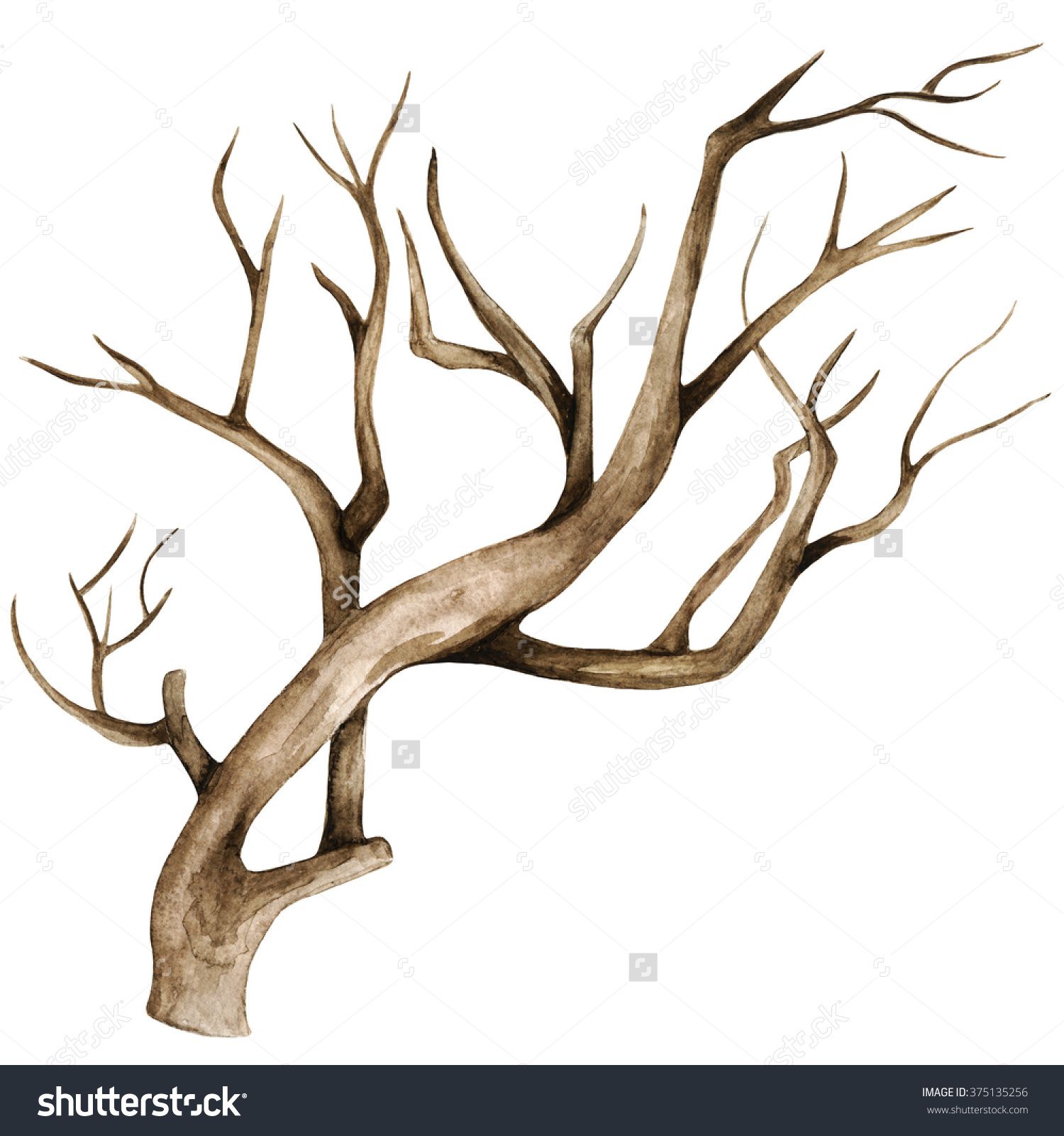 Dry Tree Drawing at GetDrawings.com | Free for personal use Dry Tree ...