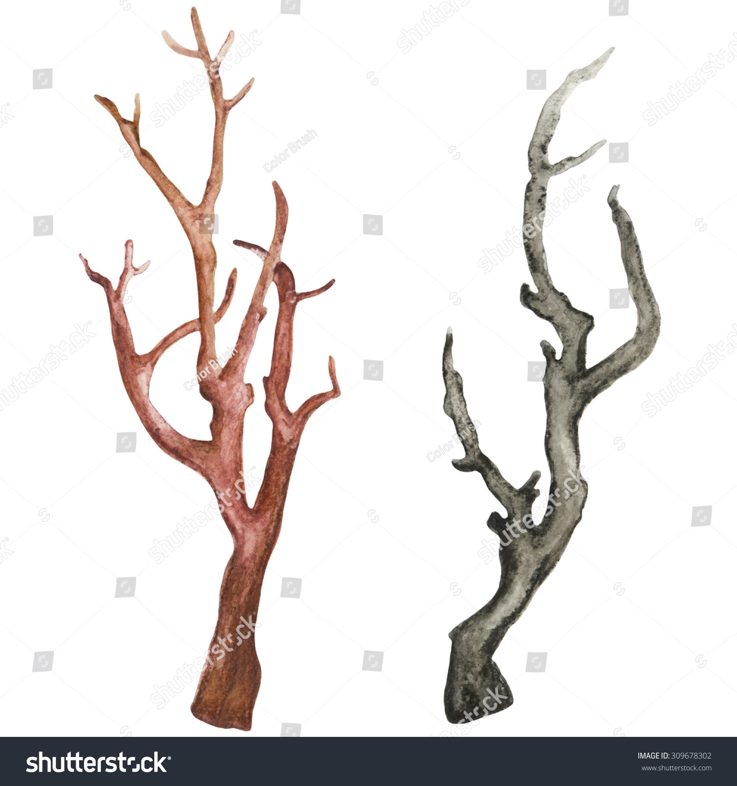 Royalty-free Watercolor dry tree branches set… #309678302 Stock ...