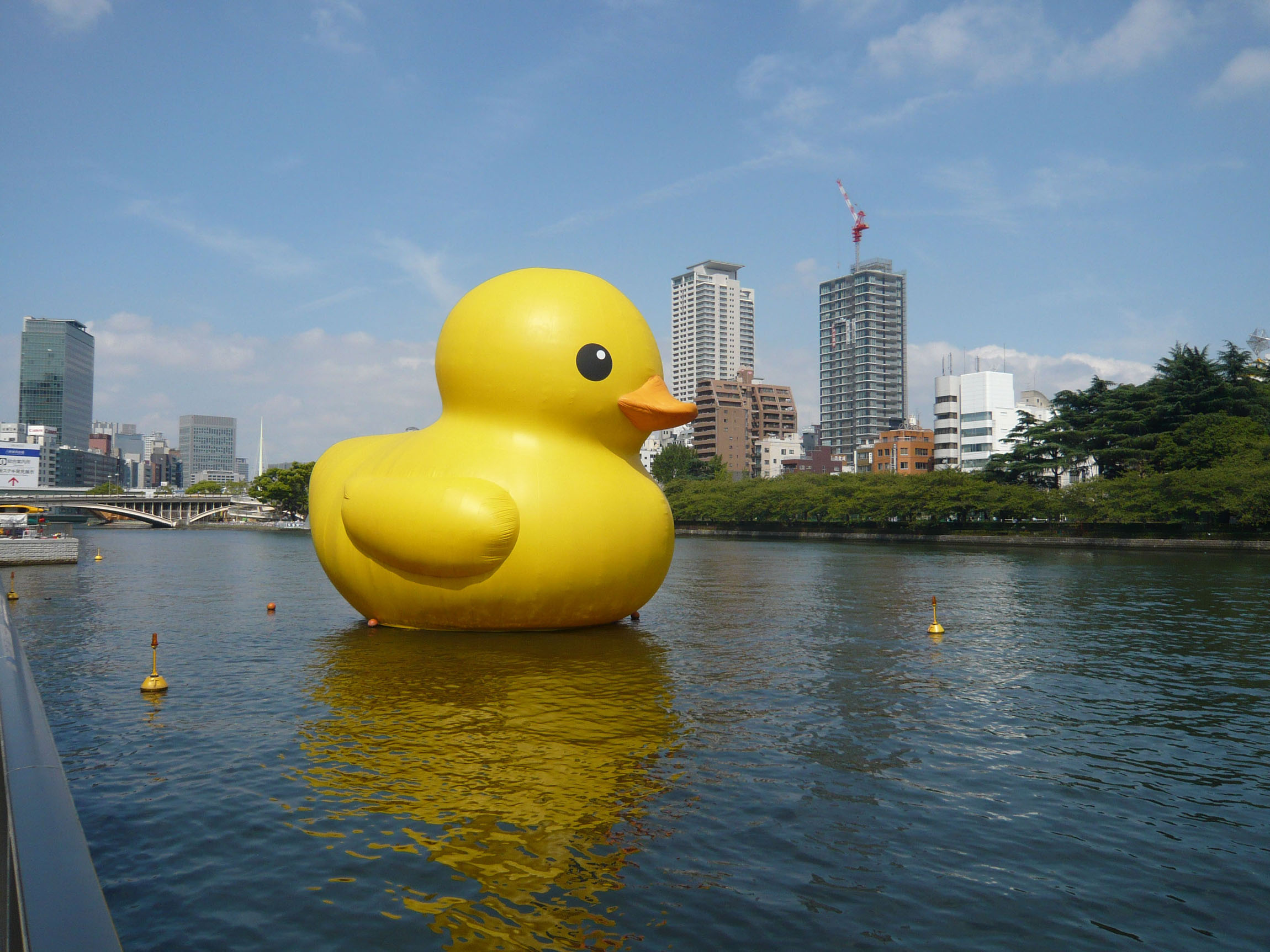 Giant duck to make its return | The Japan Times