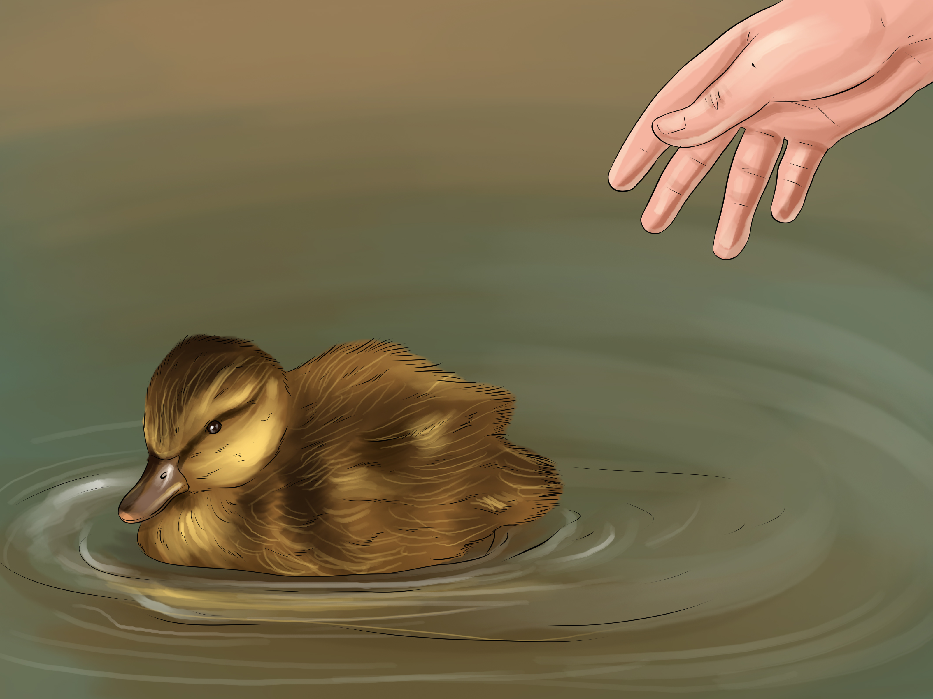 How to Hatch a Mallard Duck Egg: 14 Steps (with Pictures)