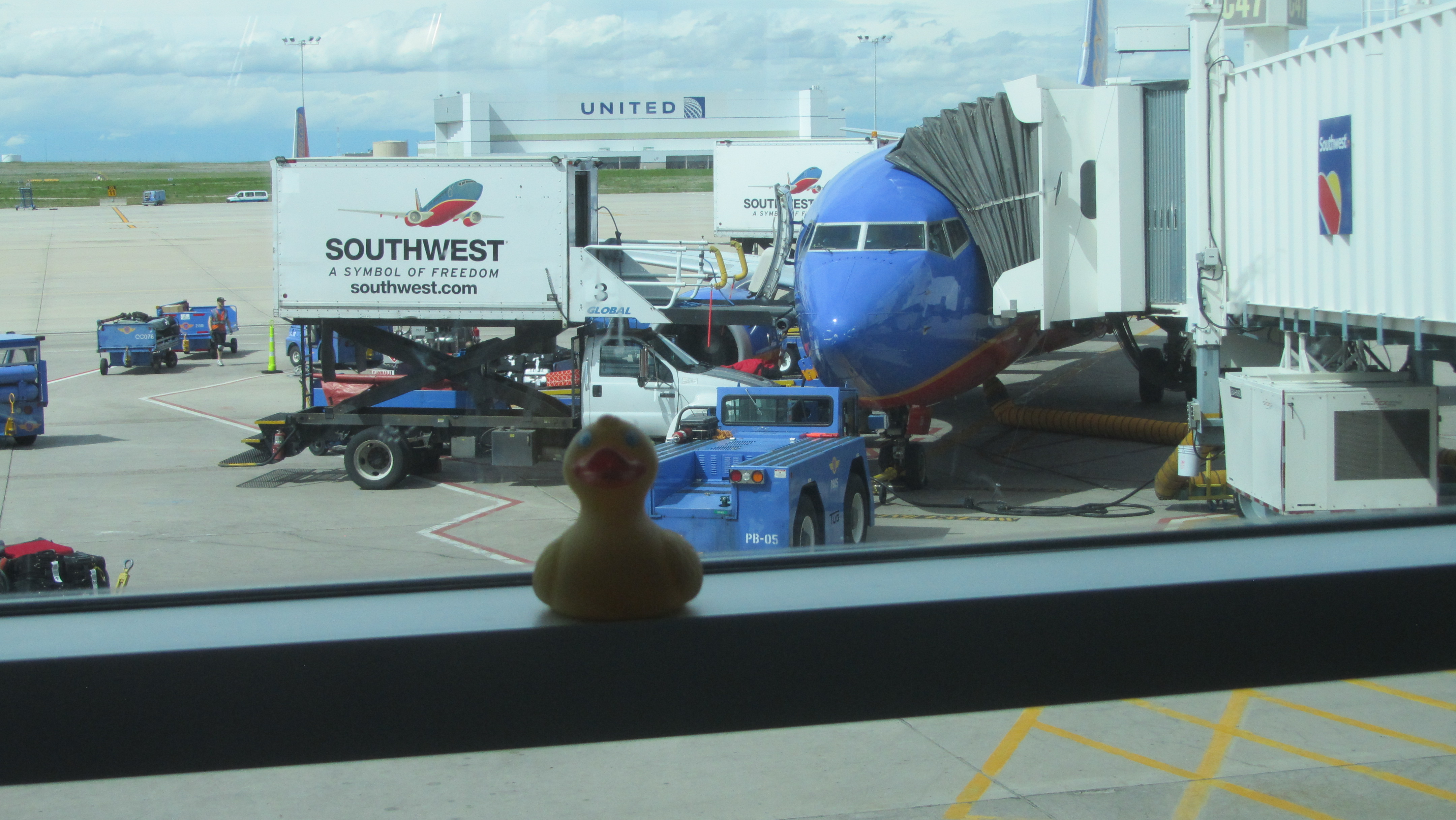 Zeb and Eider Duck Meet at the Airport – Colorado Traveling Ducks