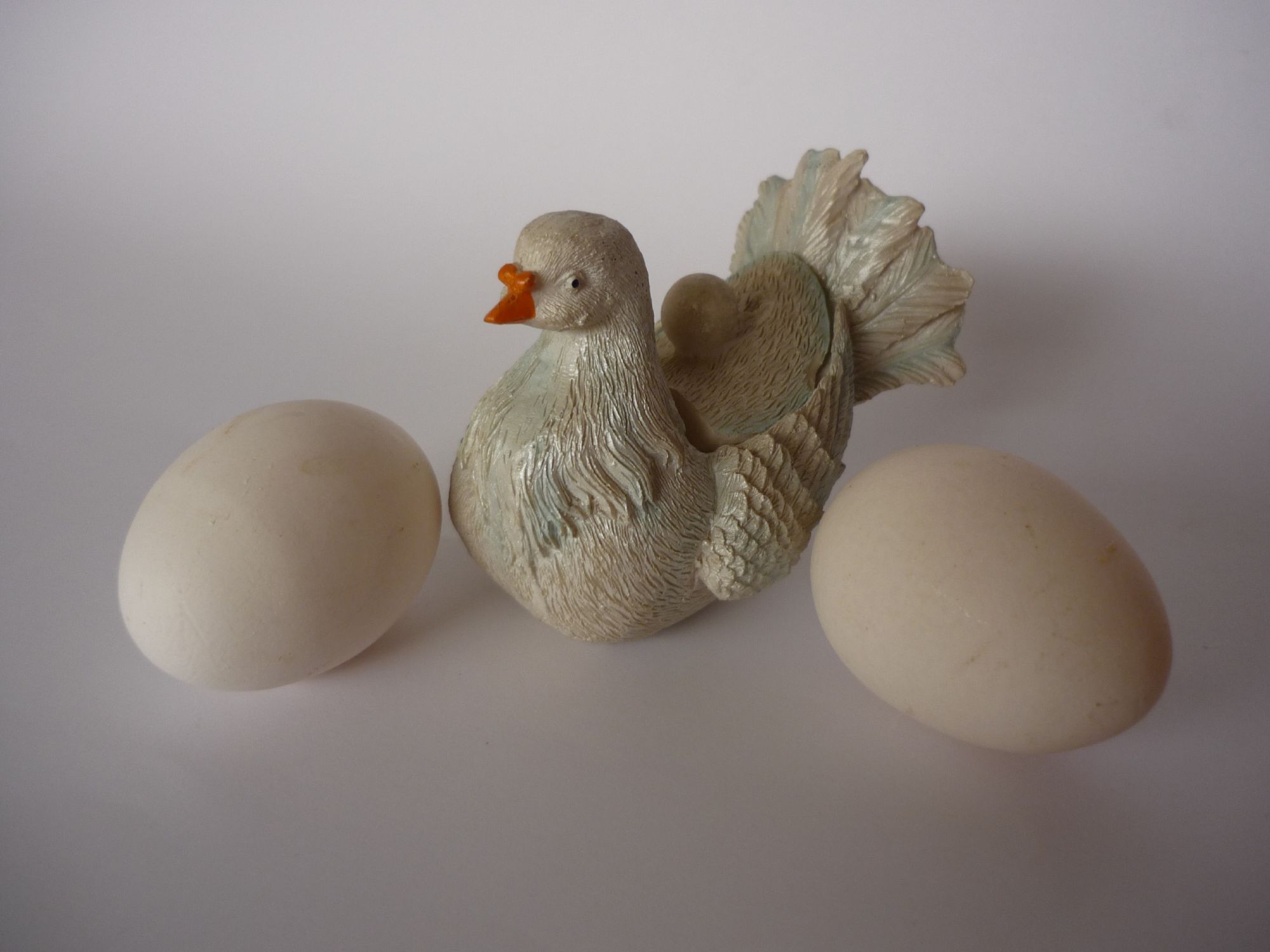 Duck eggs photo