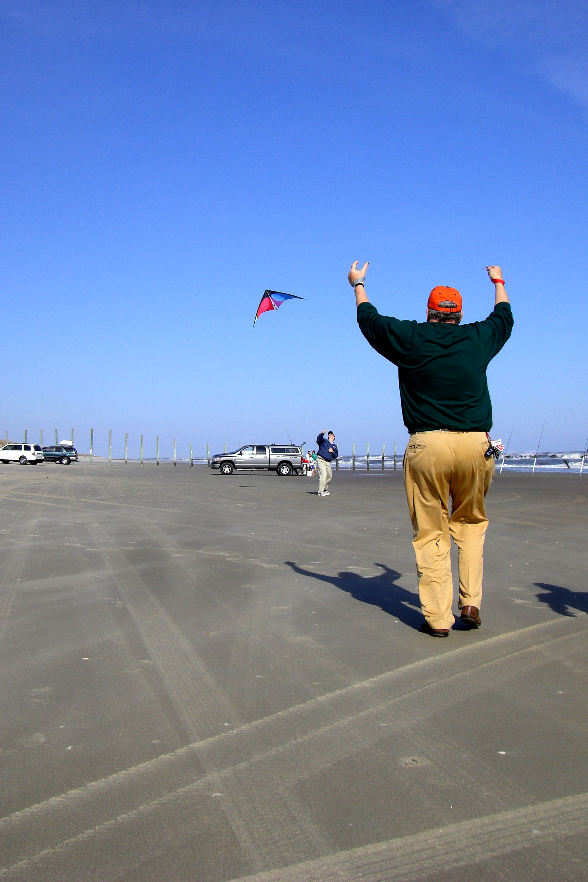 Duck - kite flying photo