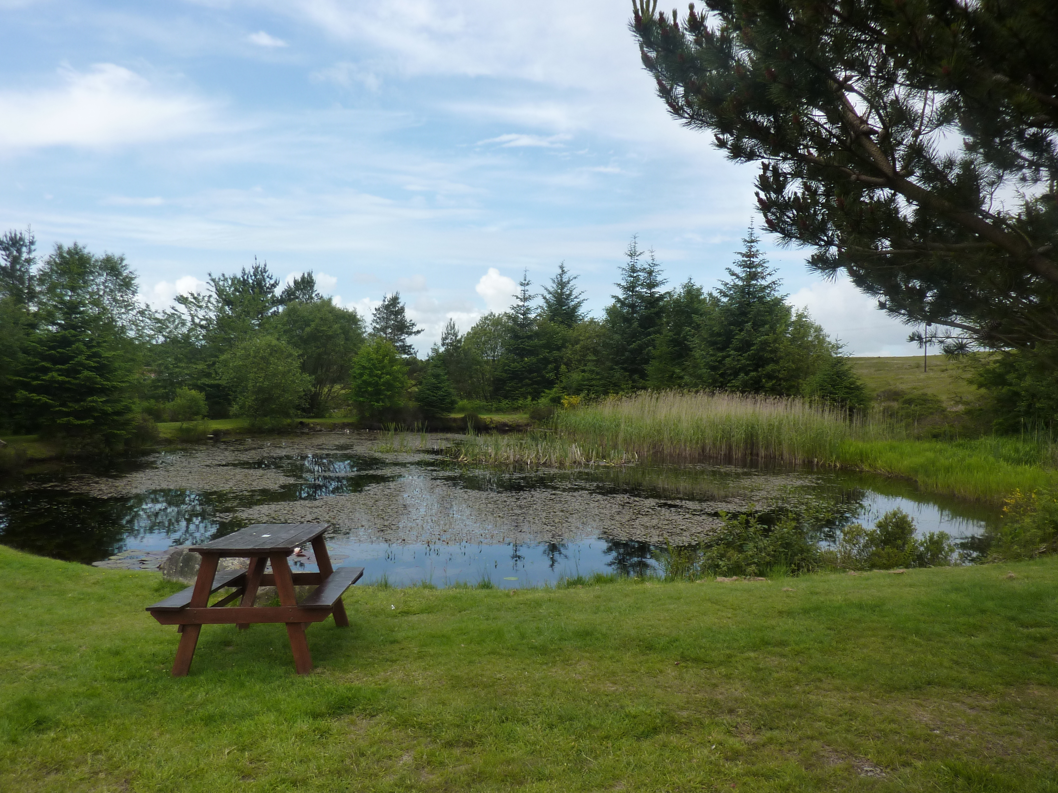 File:Duck pond at Glen Trool Holiday Park (6600200963).jpg ...