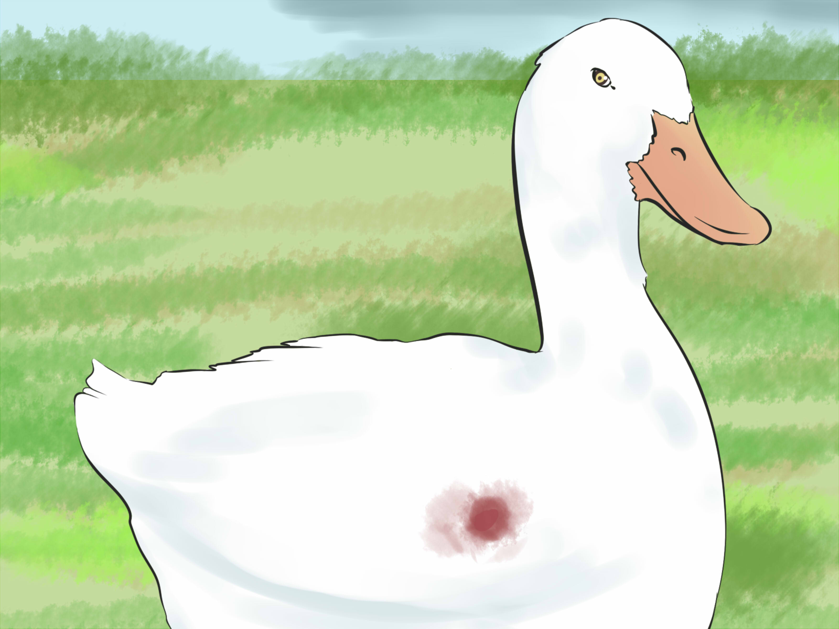 4 Ways to Take Care of Ducks - wikiHow