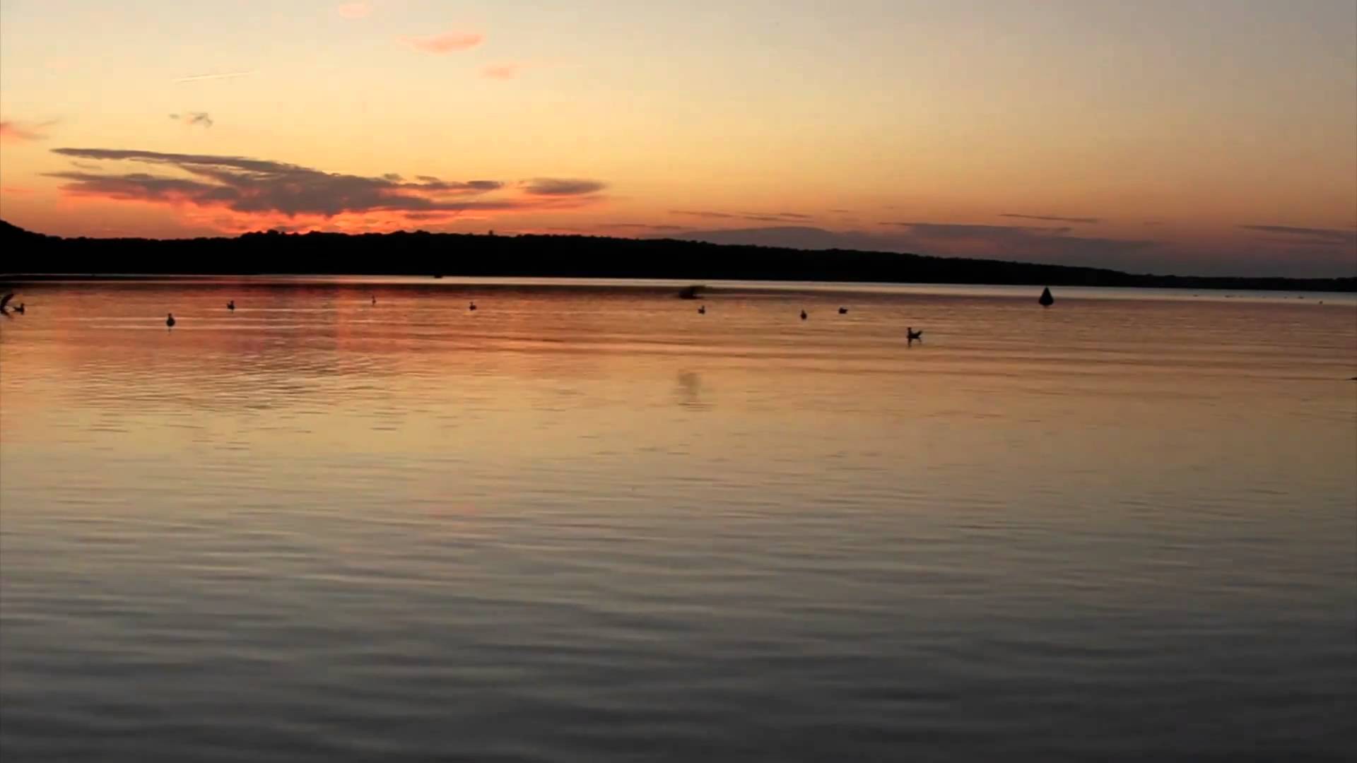 Relaxing Ducks on a calm Lake at Dusk - YouTube
