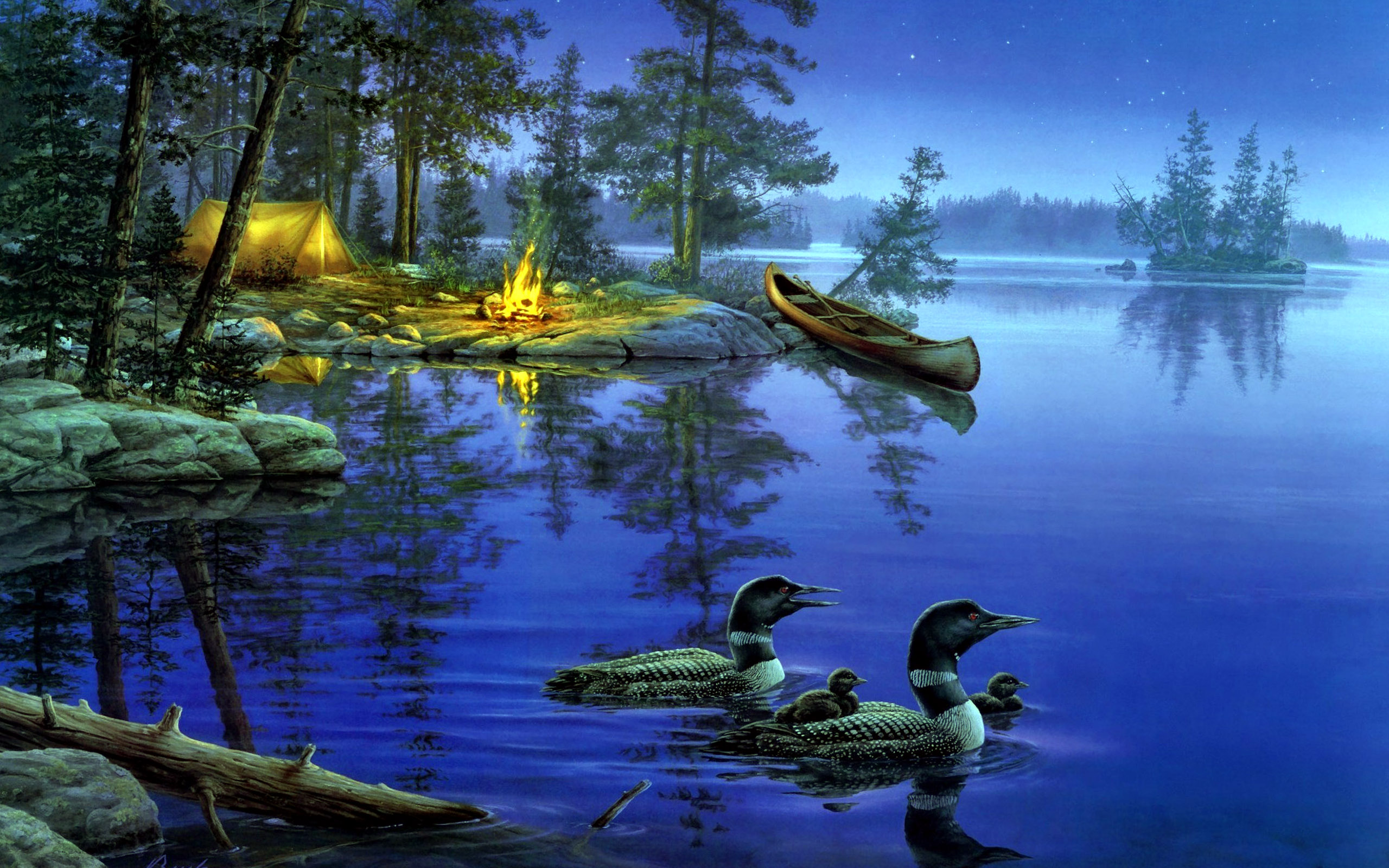 Ducks In Lake at Night Wallpapers HD / Desktop and Mobile Backgrounds