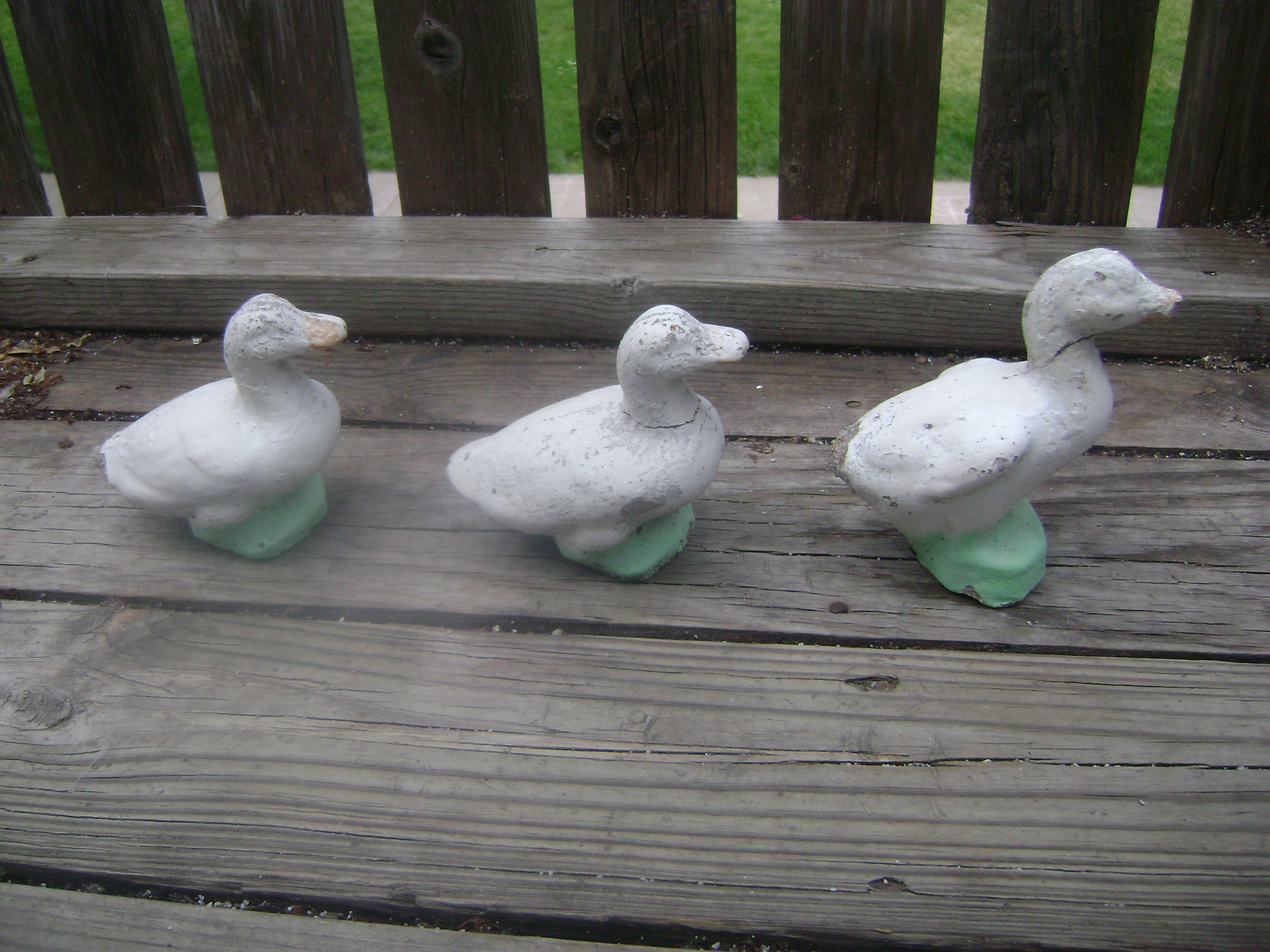 Ducks in a row photo