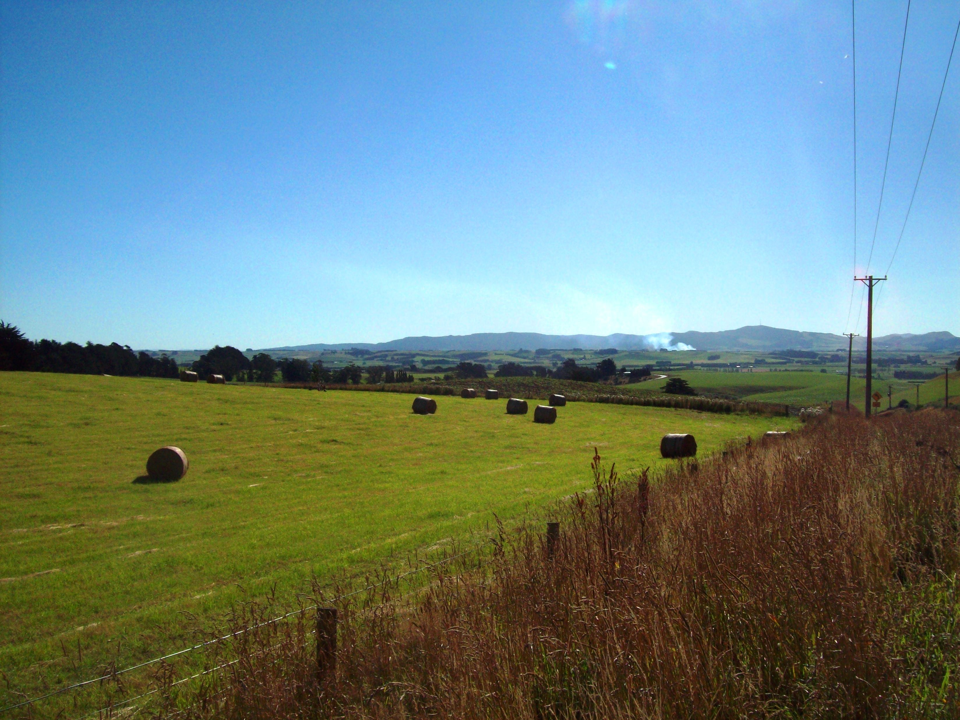 Dunedin landscape photo