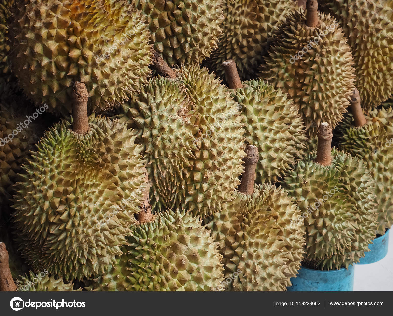 Durian fruit sale in farm market — Stock Photo © VICHAILAO #159229662
