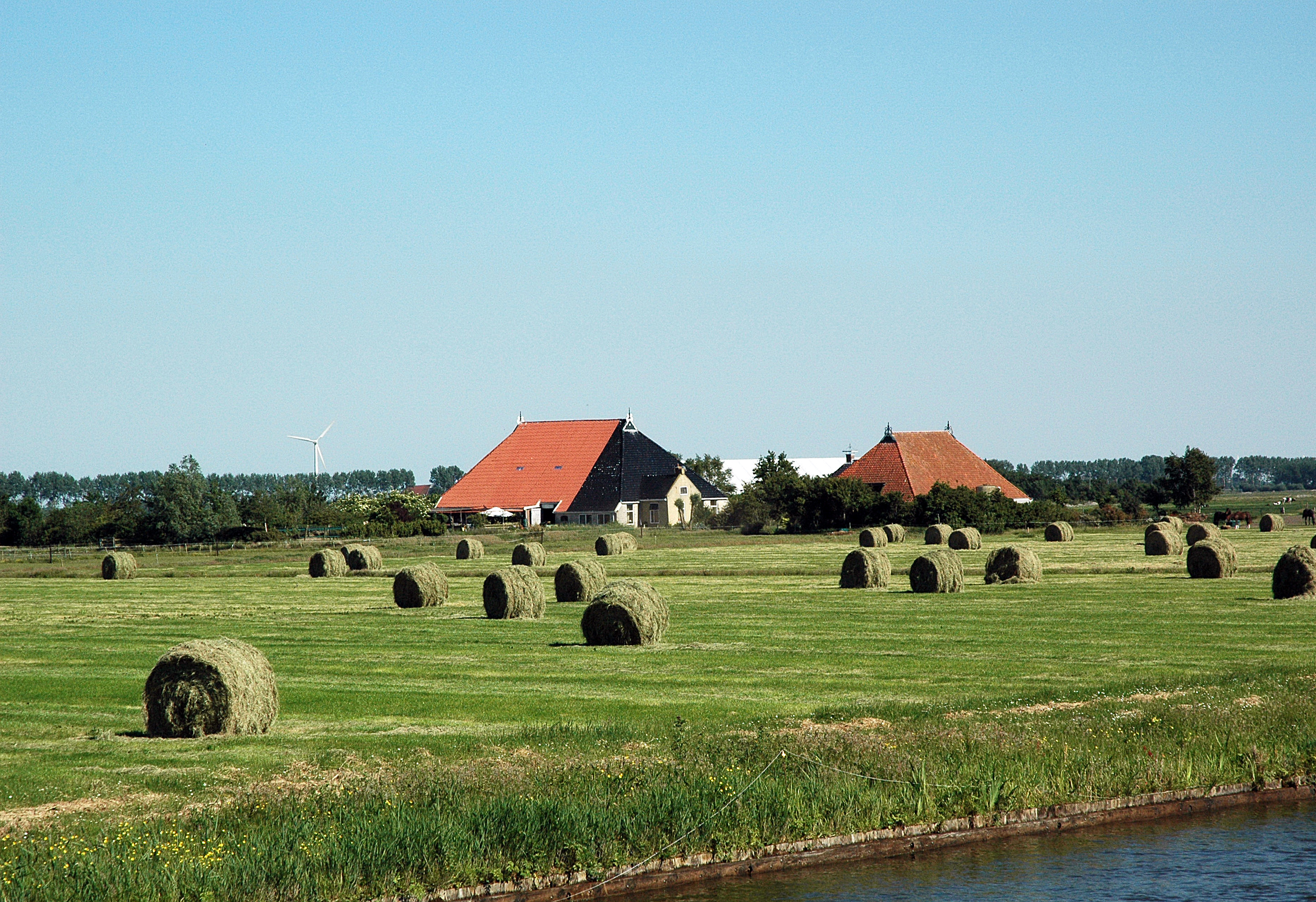 Dutch farmland photo