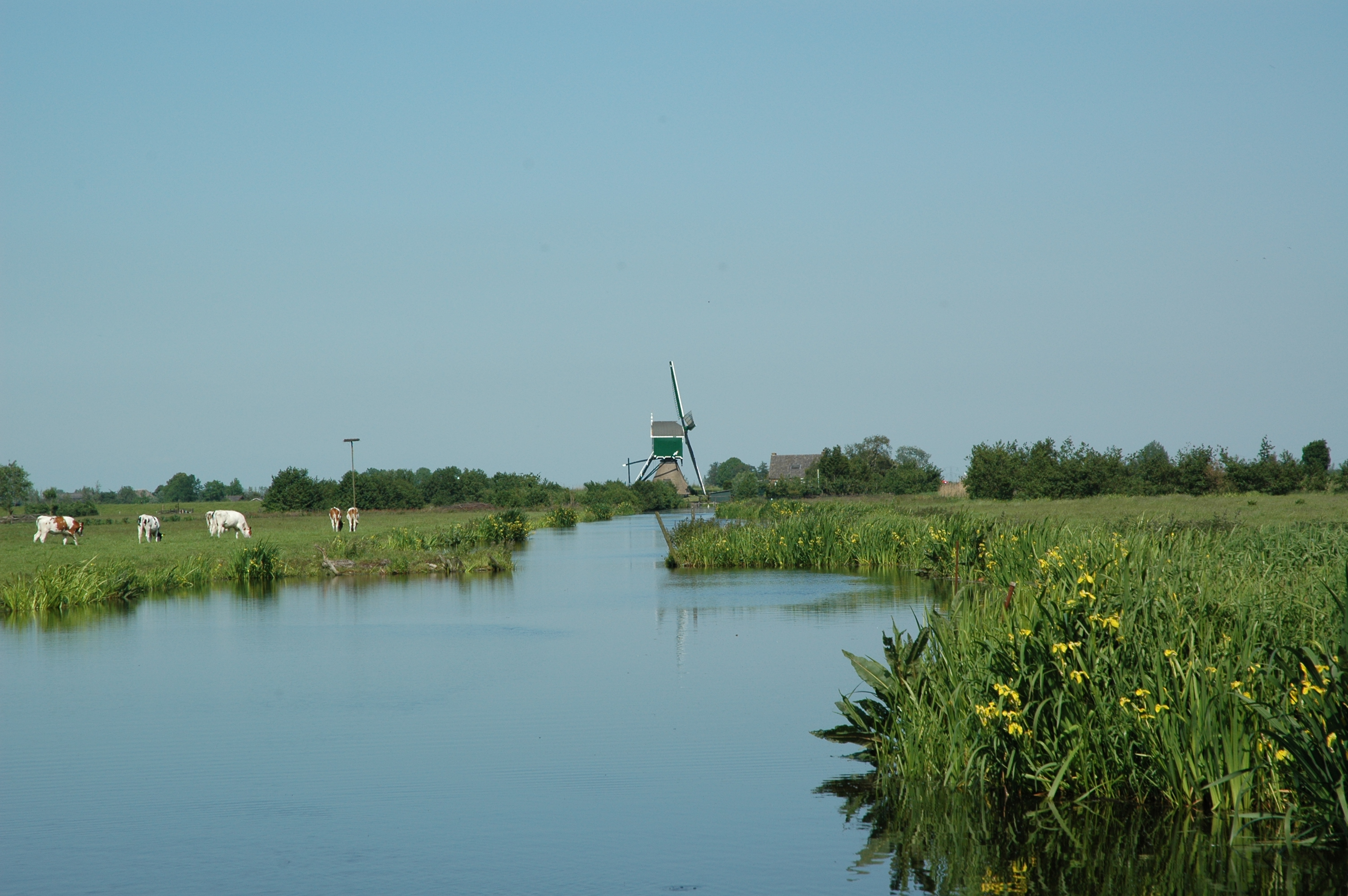 Dutch windmill photo